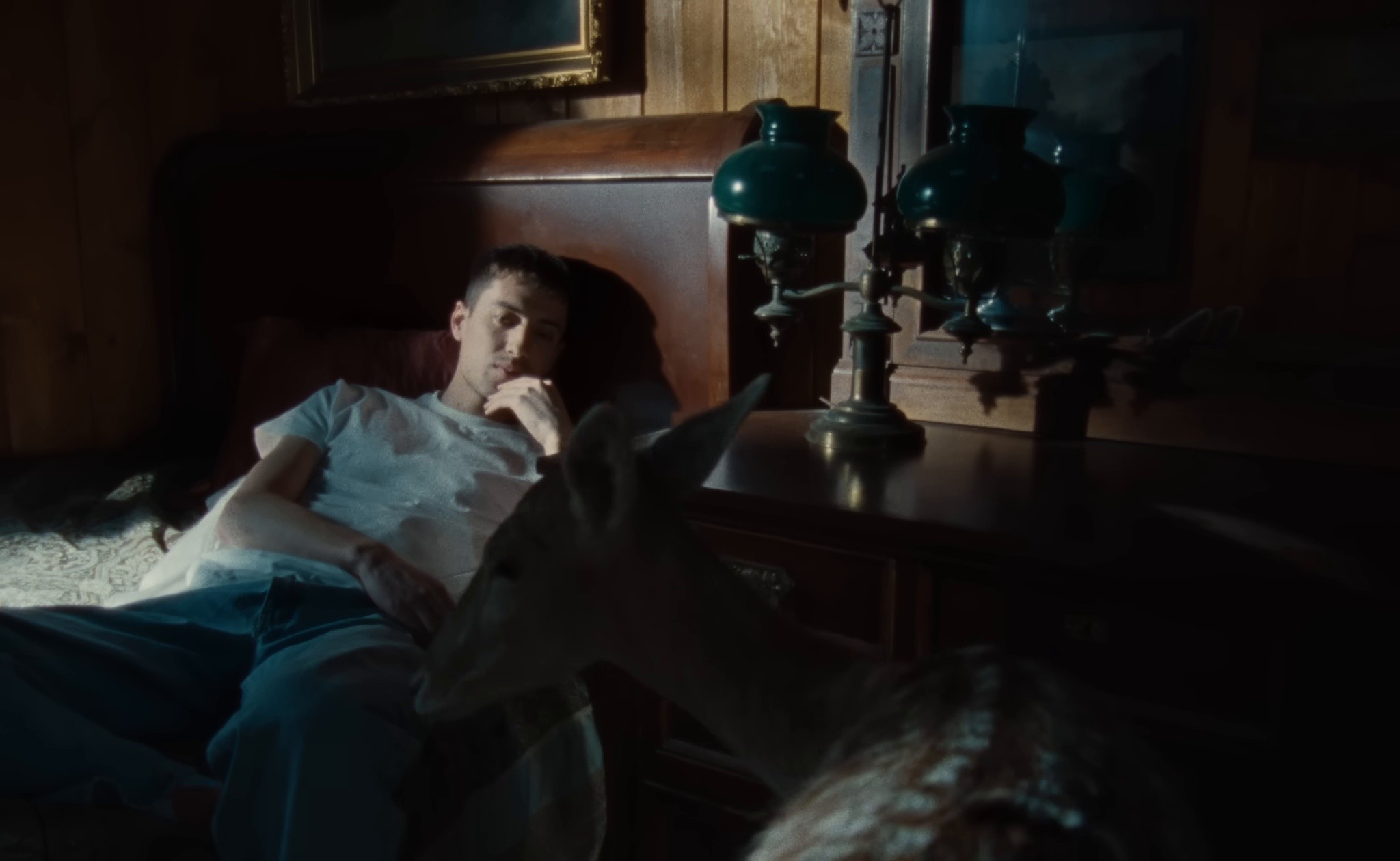 Trophy Hunting (2025) —  shot,  lighting