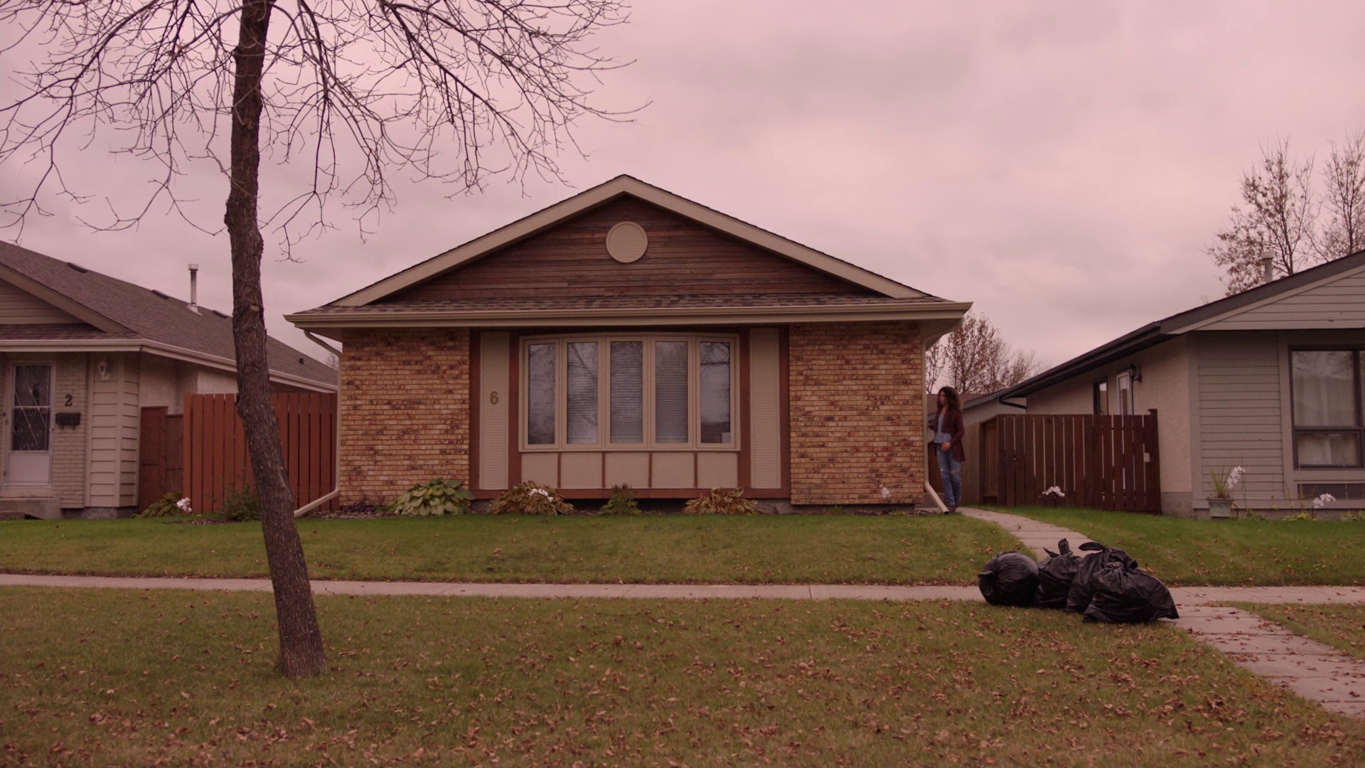 This Isn't Real (2017) —  shot,  lighting