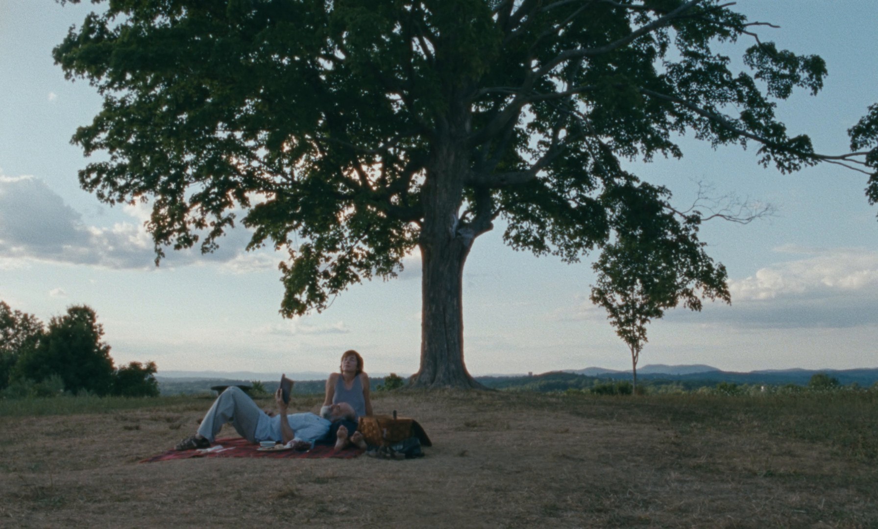 Janet Planet (2024) —  shot,  lighting