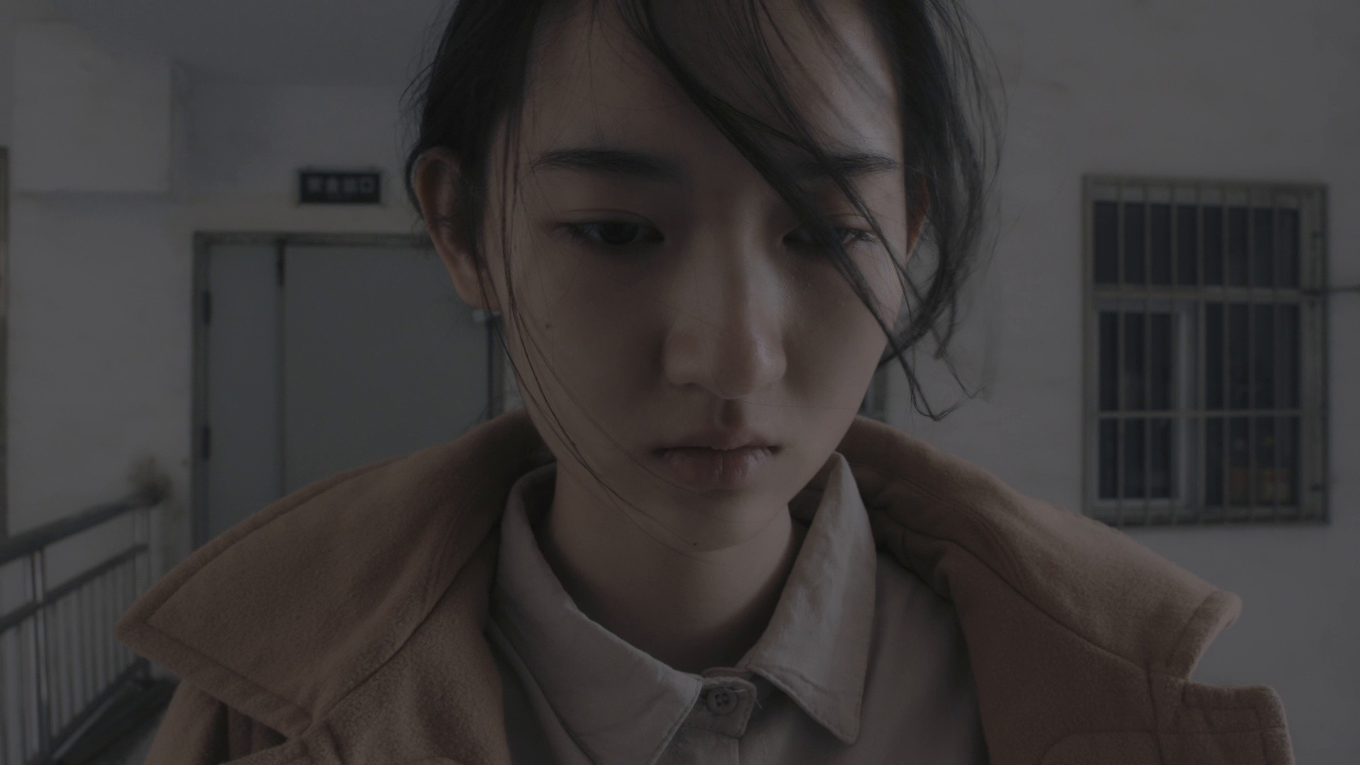 An Elephant Sitting Still (2019) —  shot,  lighting