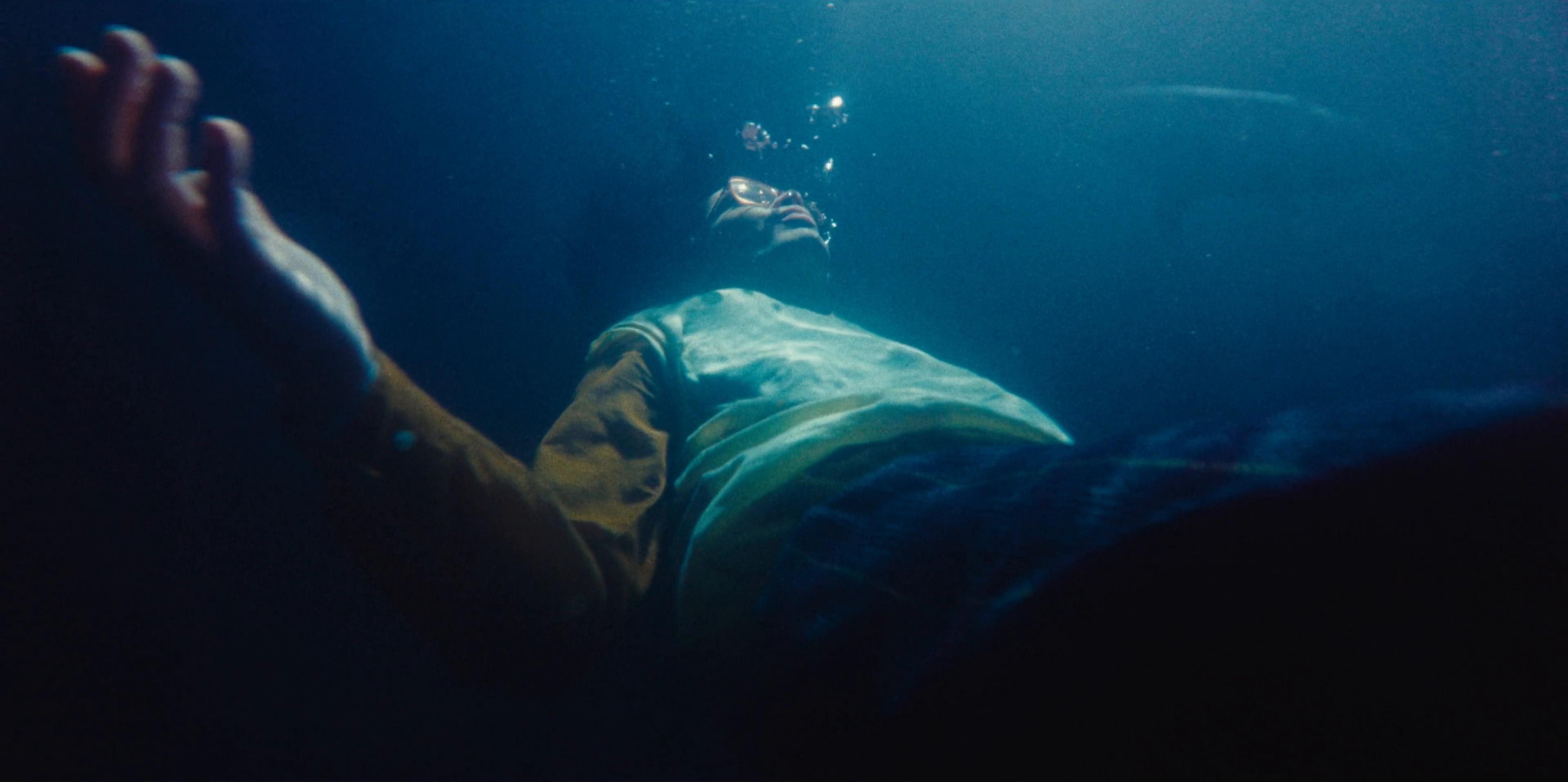 Meurisse Sea Salt (2024) —  shot,  lighting