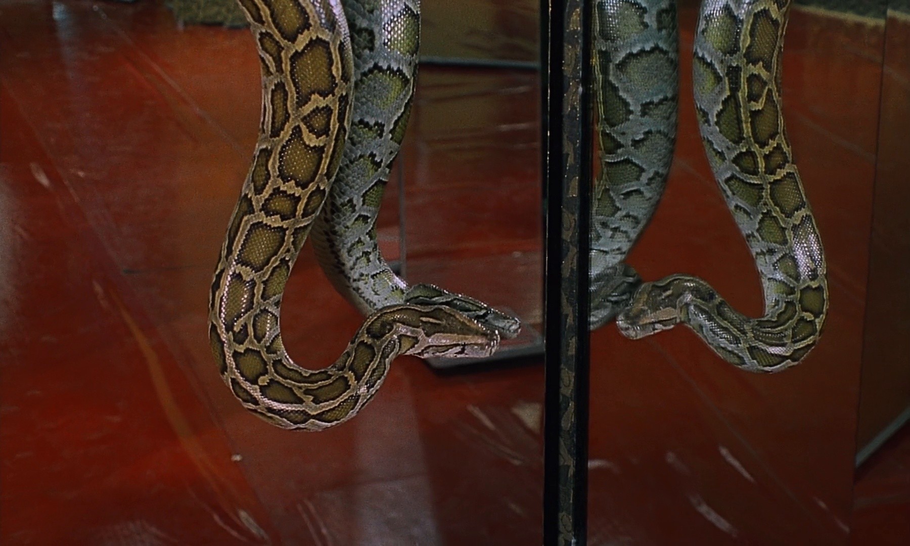 In the Dust of the Stars (1976) —  shot,  lighting