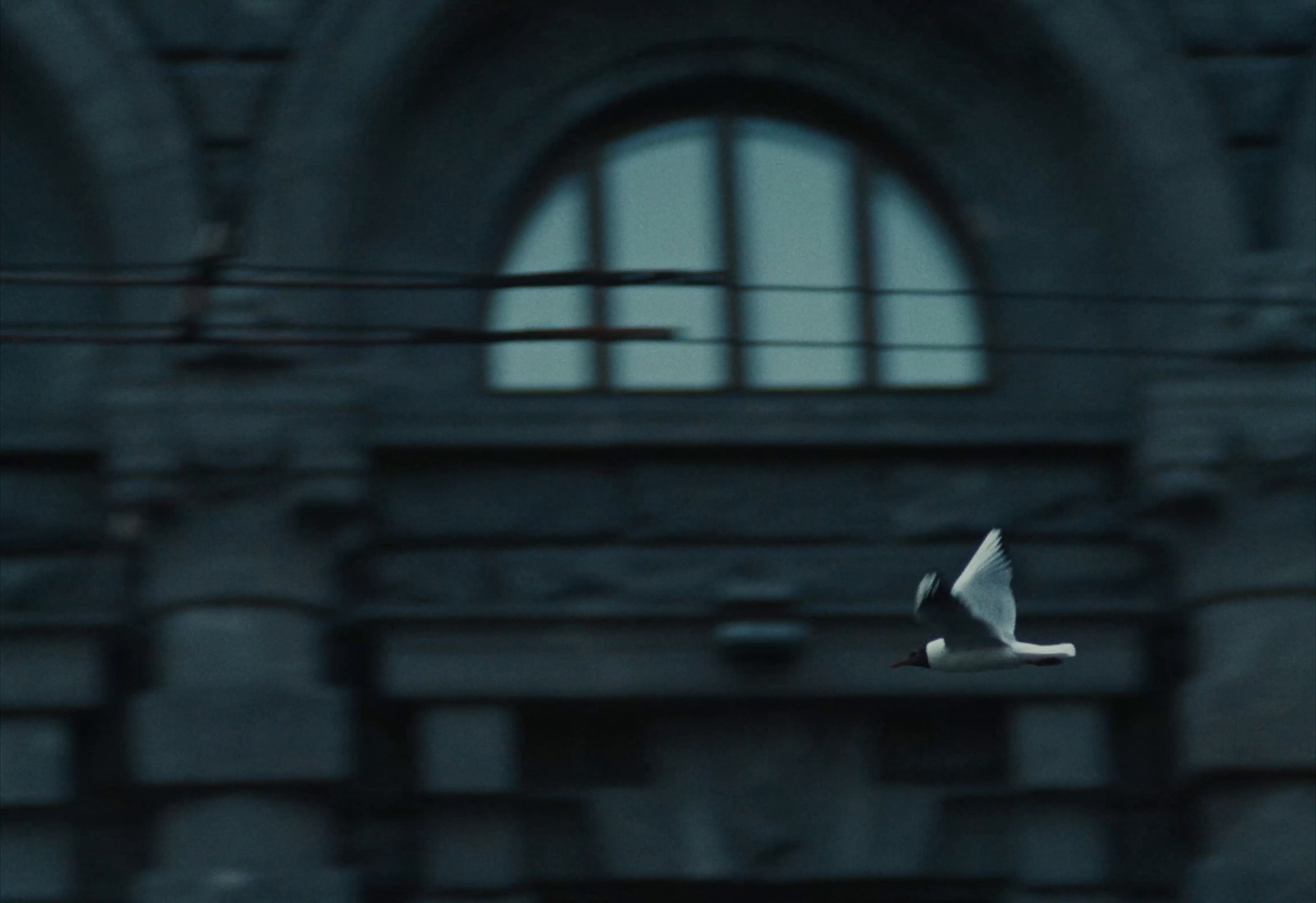 Wawelberg (2024) —  shot,  lighting