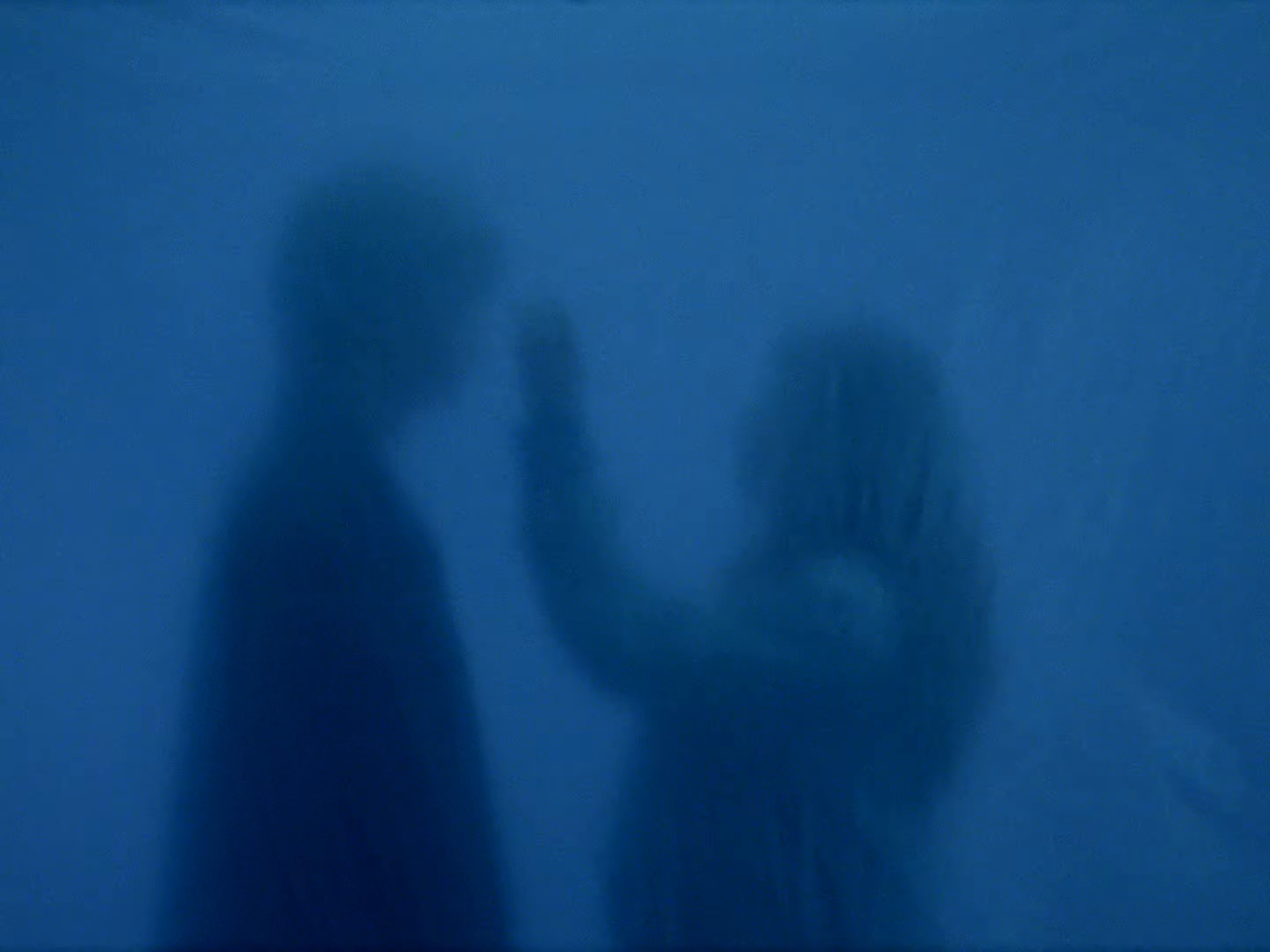 Follow (2024) —  shot,  lighting