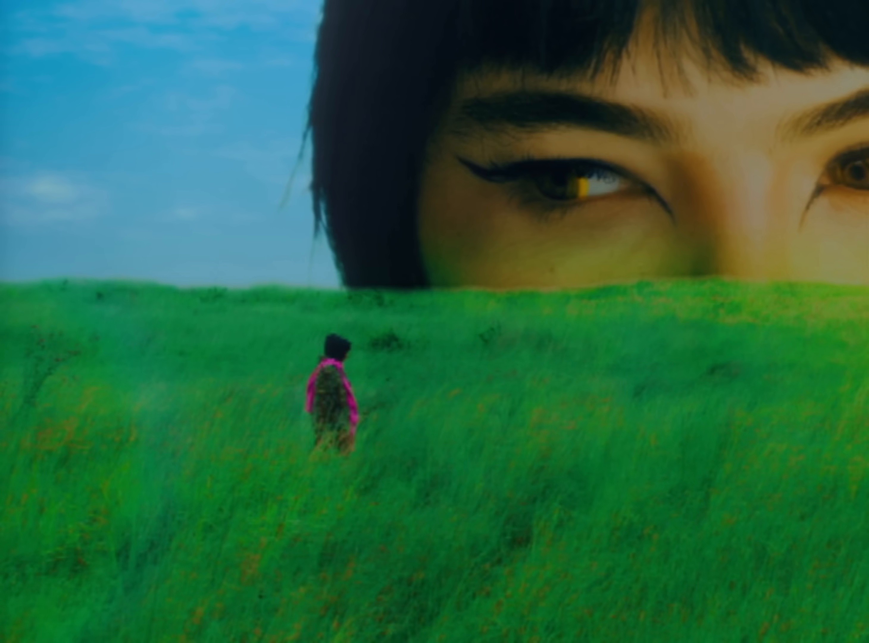 Animal (2024) —  shot,  lighting