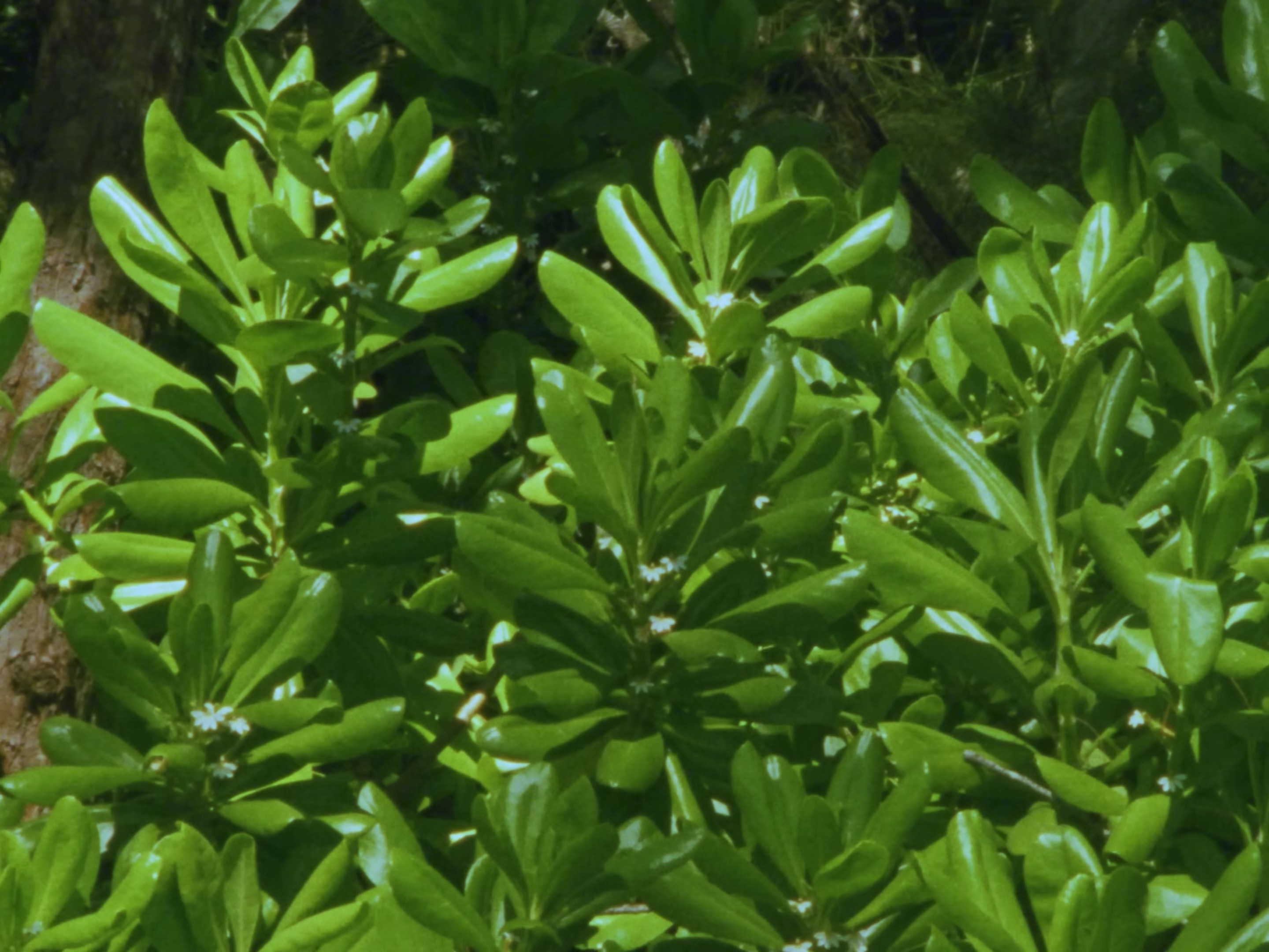 Leave With Me (2023) —  shot,  lighting