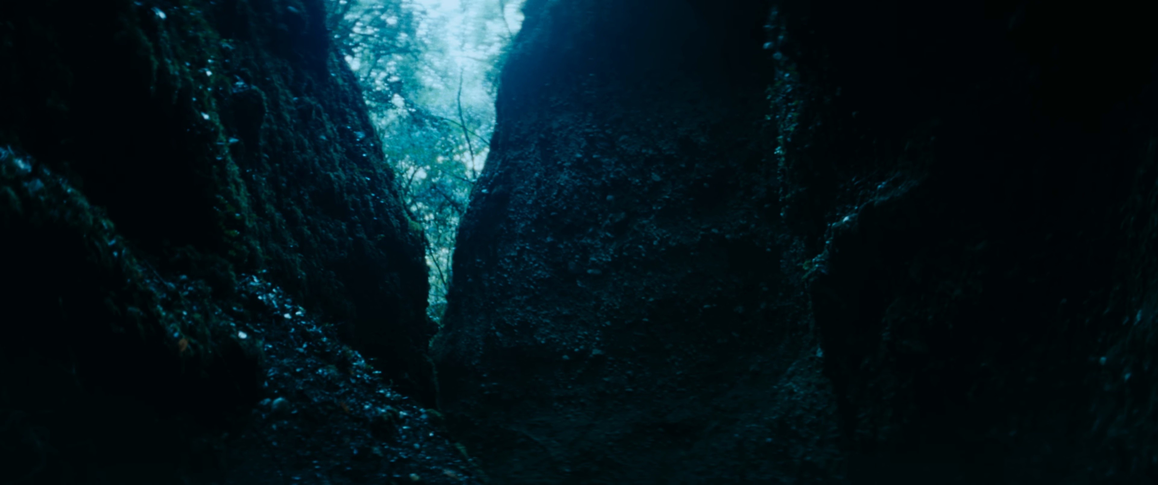 Morning Star (2024) —  shot,  lighting