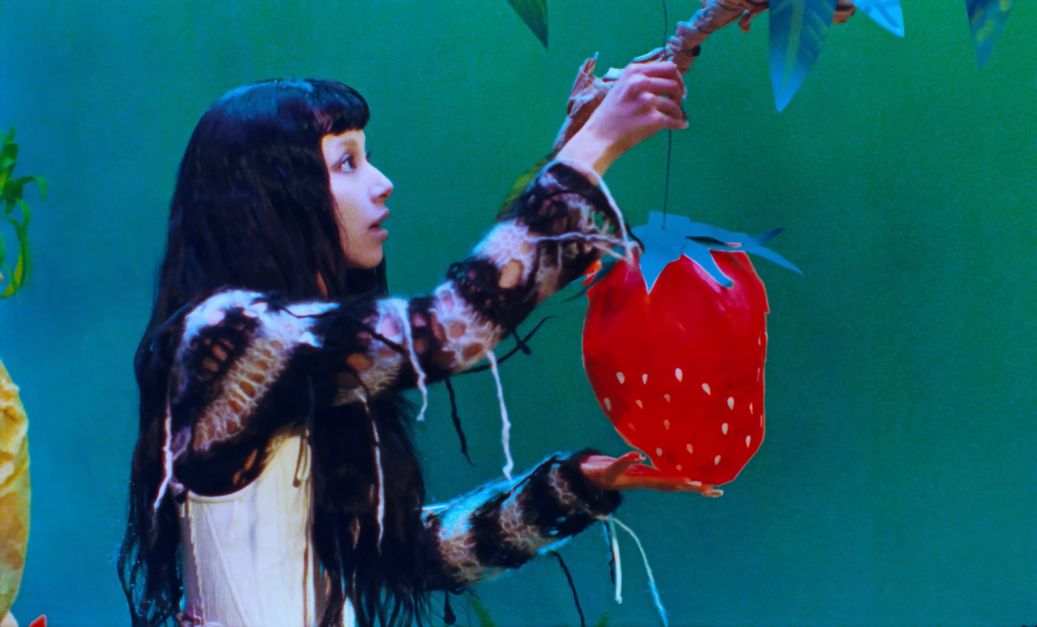 AVOCADO (2025) —  shot,  lighting