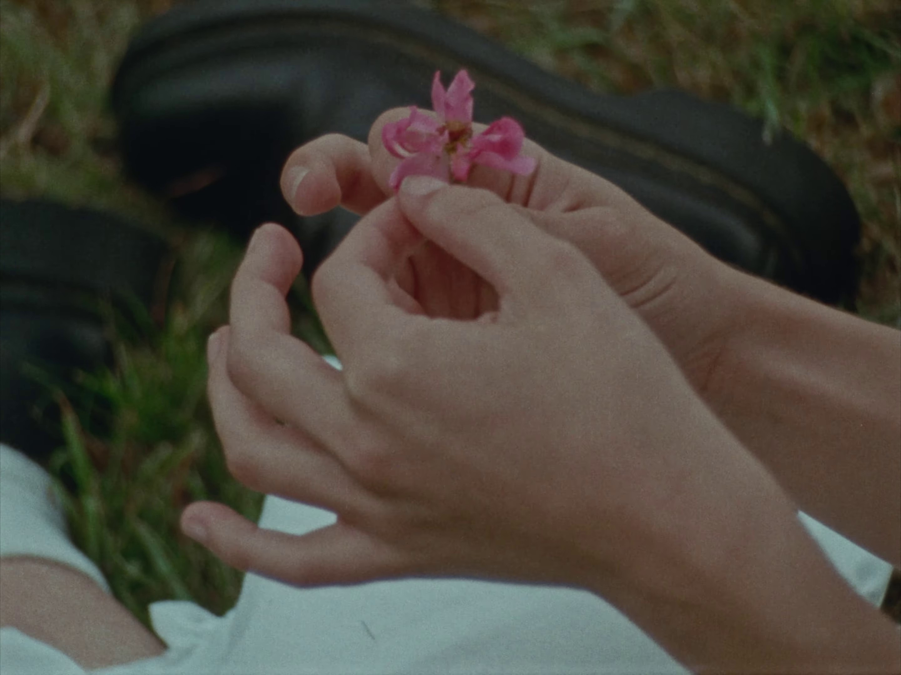 Emmanuelle (2024) —  shot,  lighting