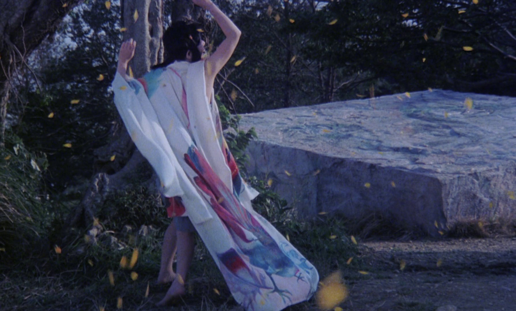 Farewell to the Ark (1984) —  shot,  lighting