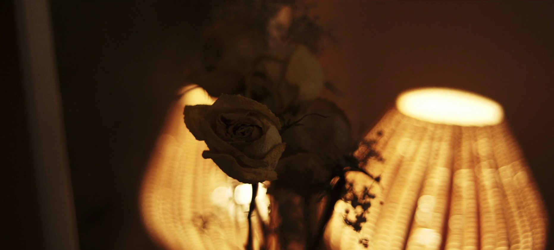 Legends  (2018) —  shot,  lighting