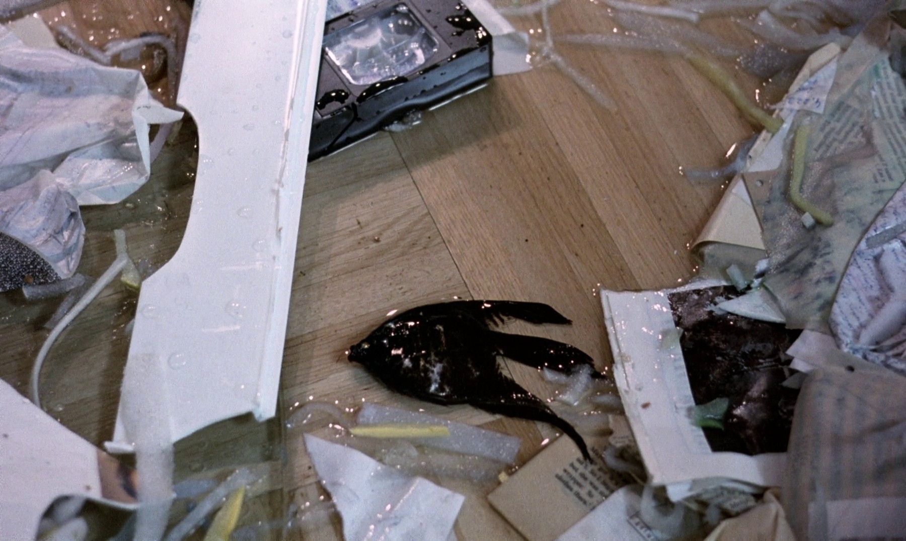 The Seventh Continent (1992) —  shot,  lighting