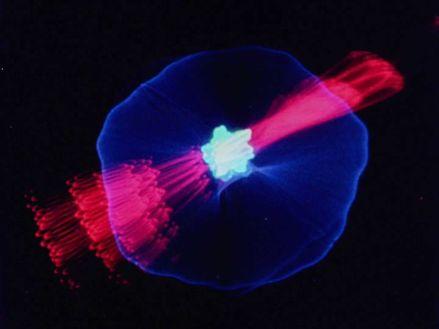 Who Ho Ray No. 1 (1972) —  shot,  lighting