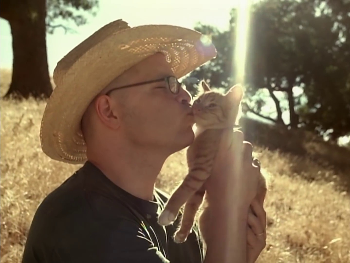 Island In The Sun (2009) —  shot,  lighting