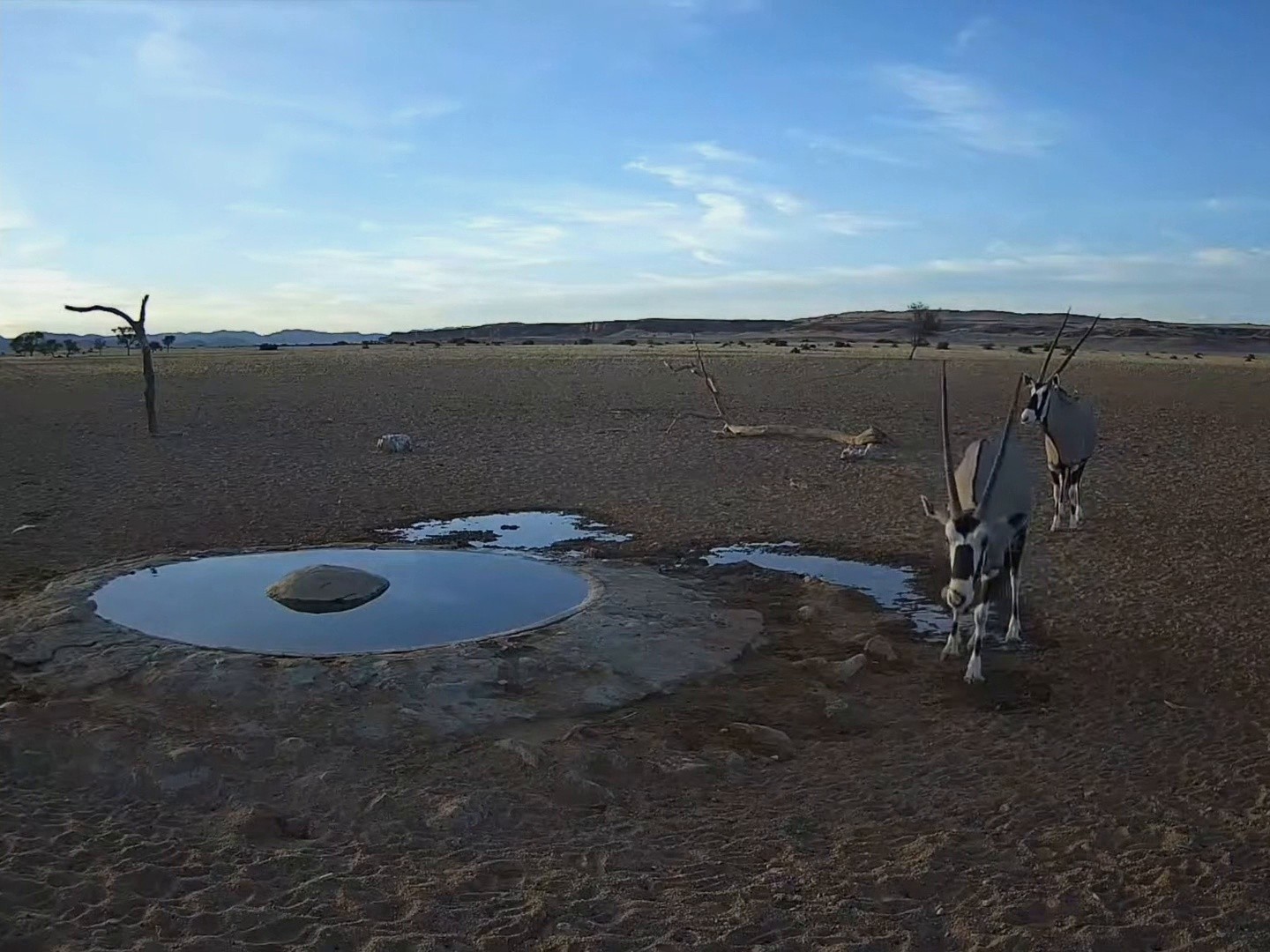 Desert of Namibia (2024) —  shot,  lighting