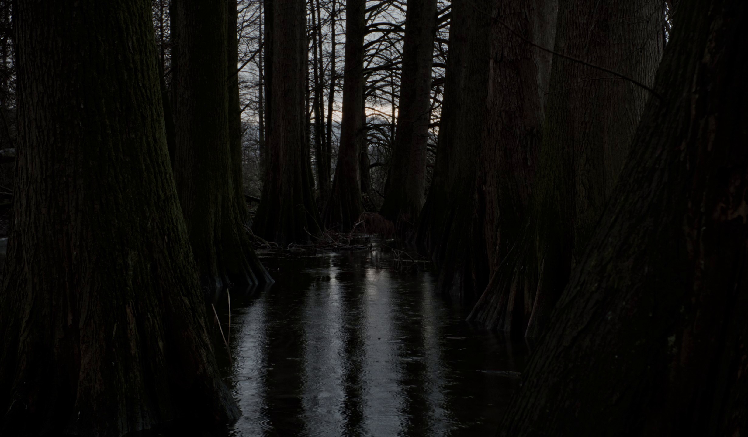 DEMON (2024) —  shot,  lighting