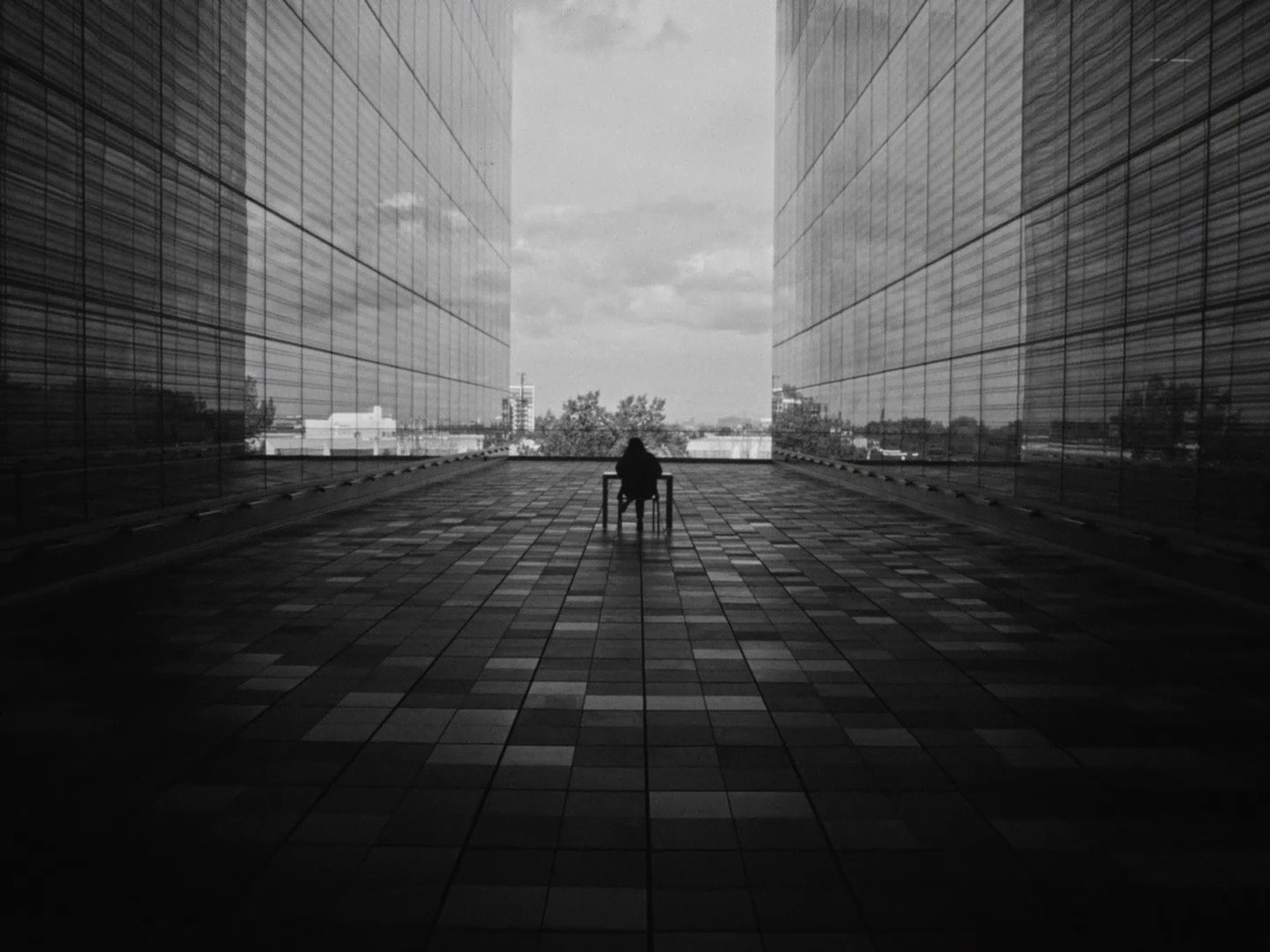 Portés par le monde | Université de Montréal (DC) (2024) —  shot,  lighting