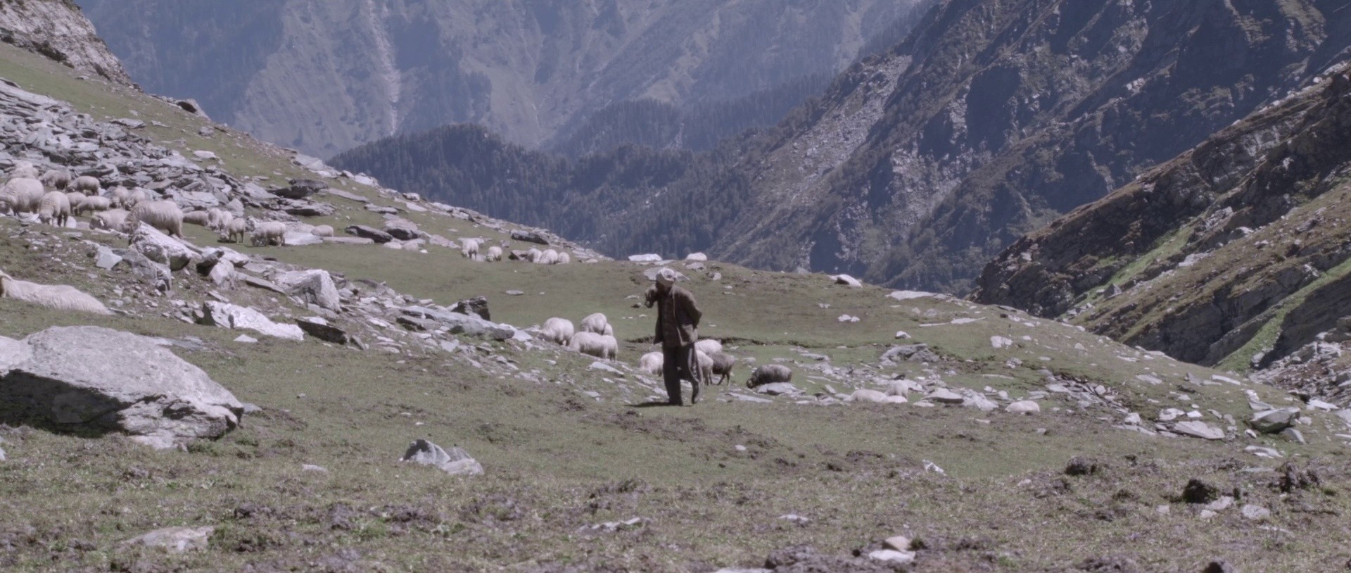 The Gold-Laden Sheep and the Sacred Mountain (2022) —  shot,  lighting