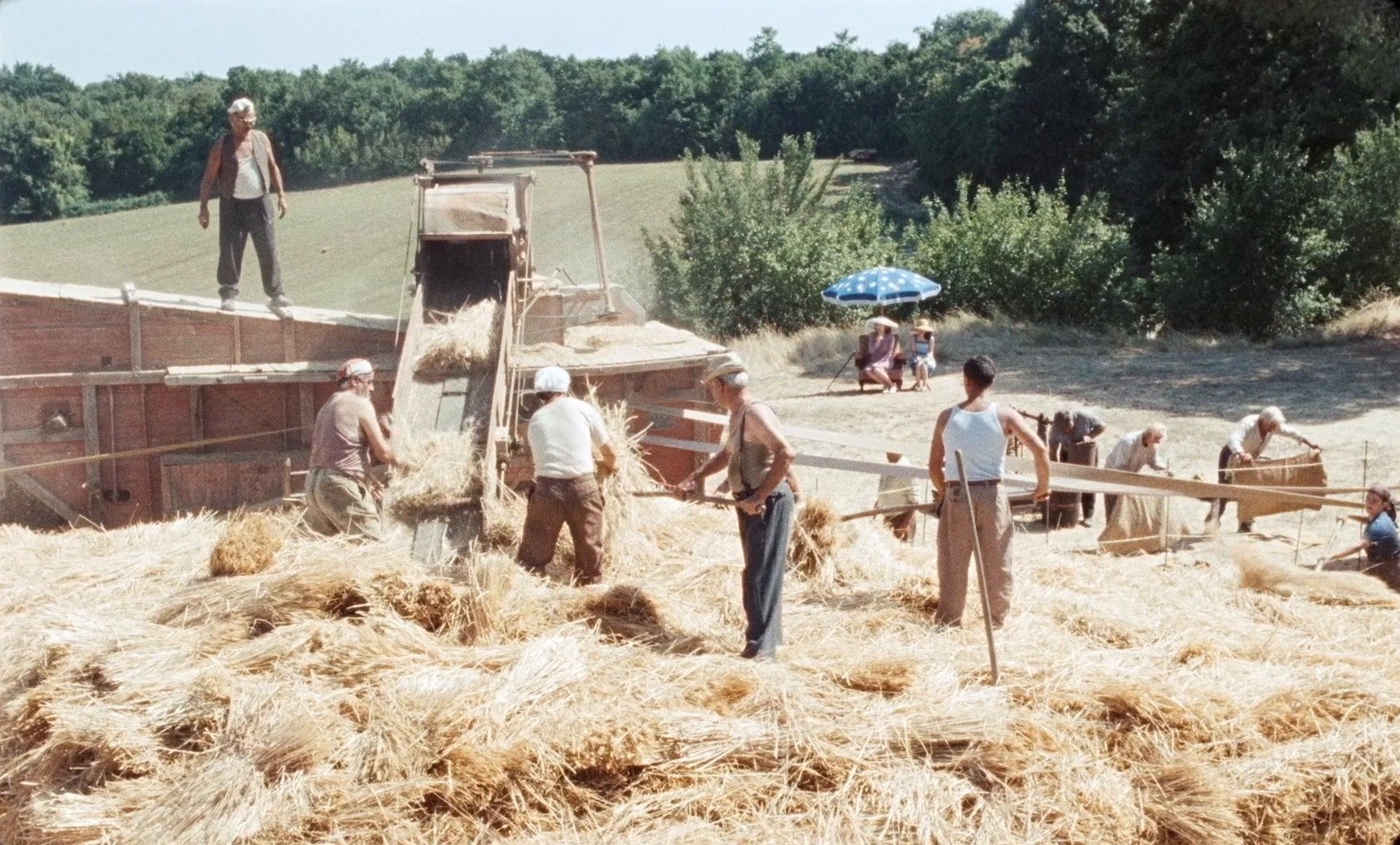 Happy as Lazzaro (2018) —  shot,  lighting