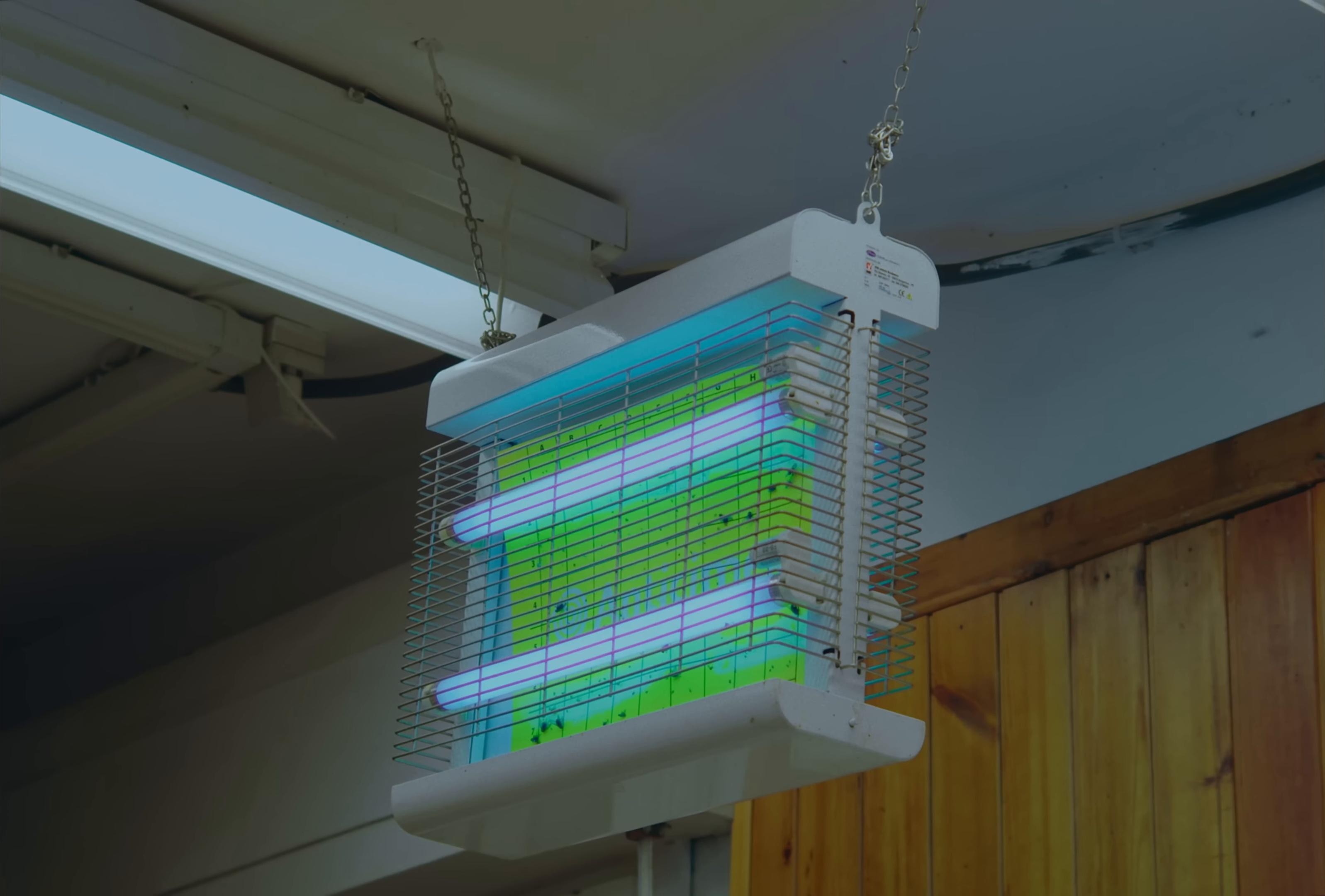 Come ti pare (2025) —  shot,  lighting