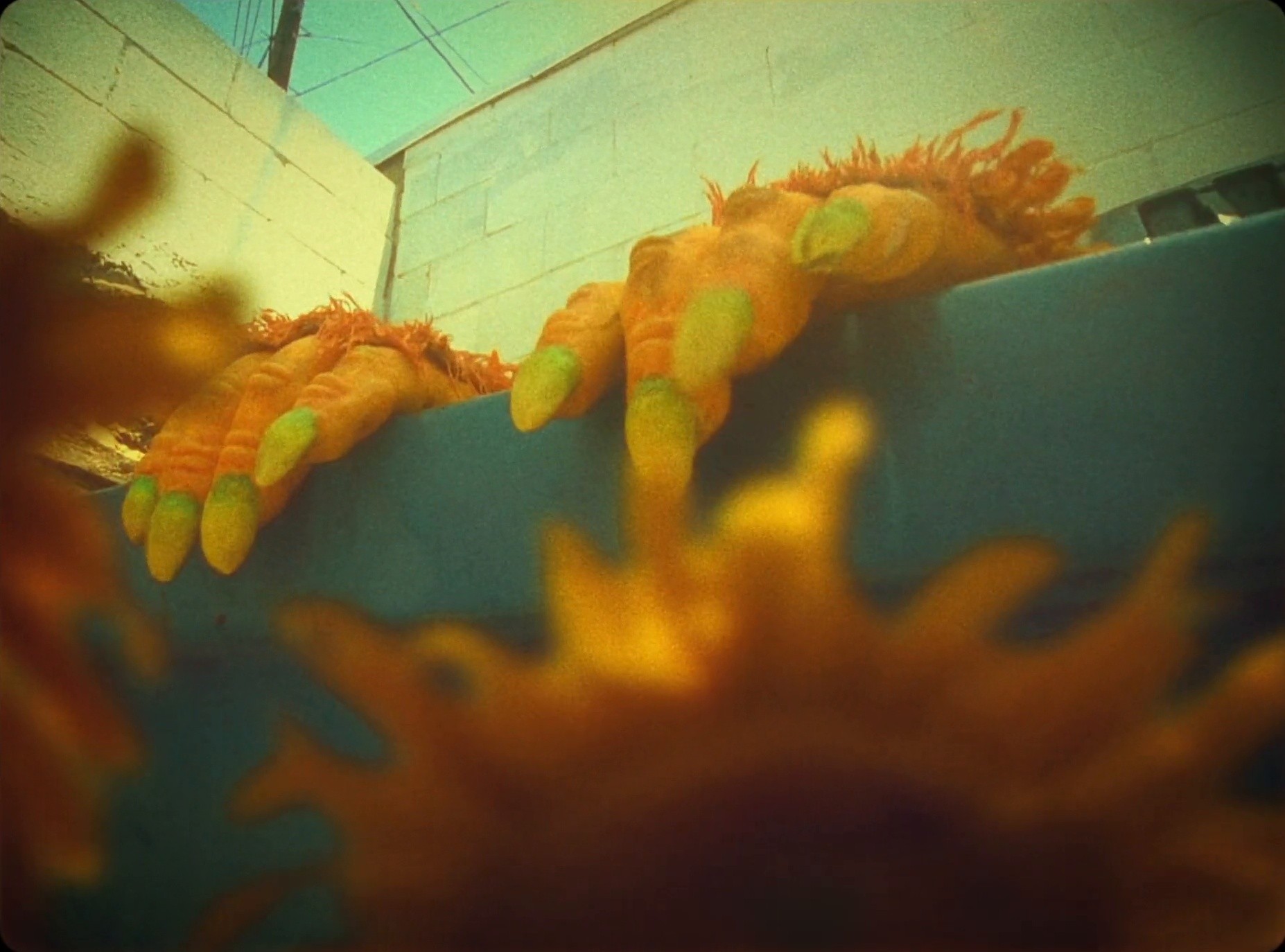 Hundred Acres (2025) —  shot,  lighting