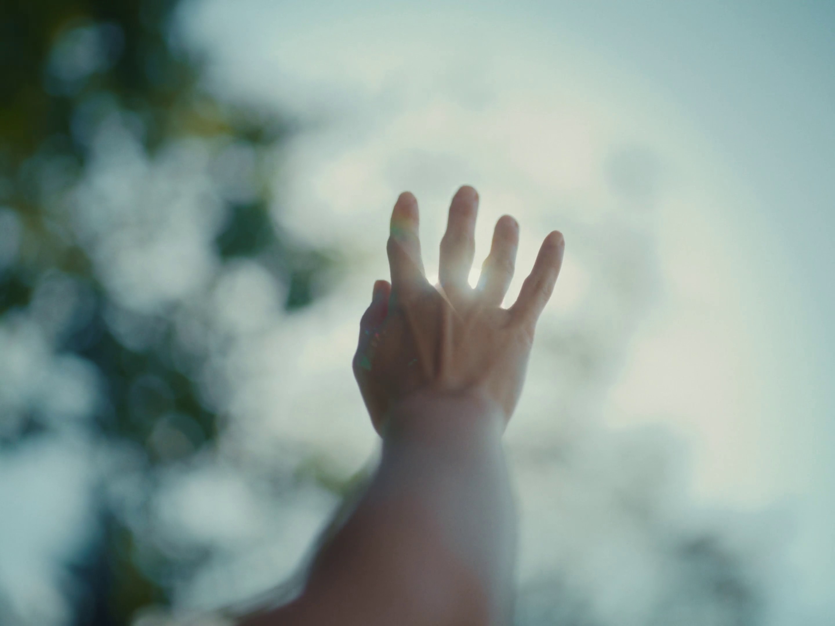 Tourism Whistler - Dir Cut (2024) —  shot,  lighting