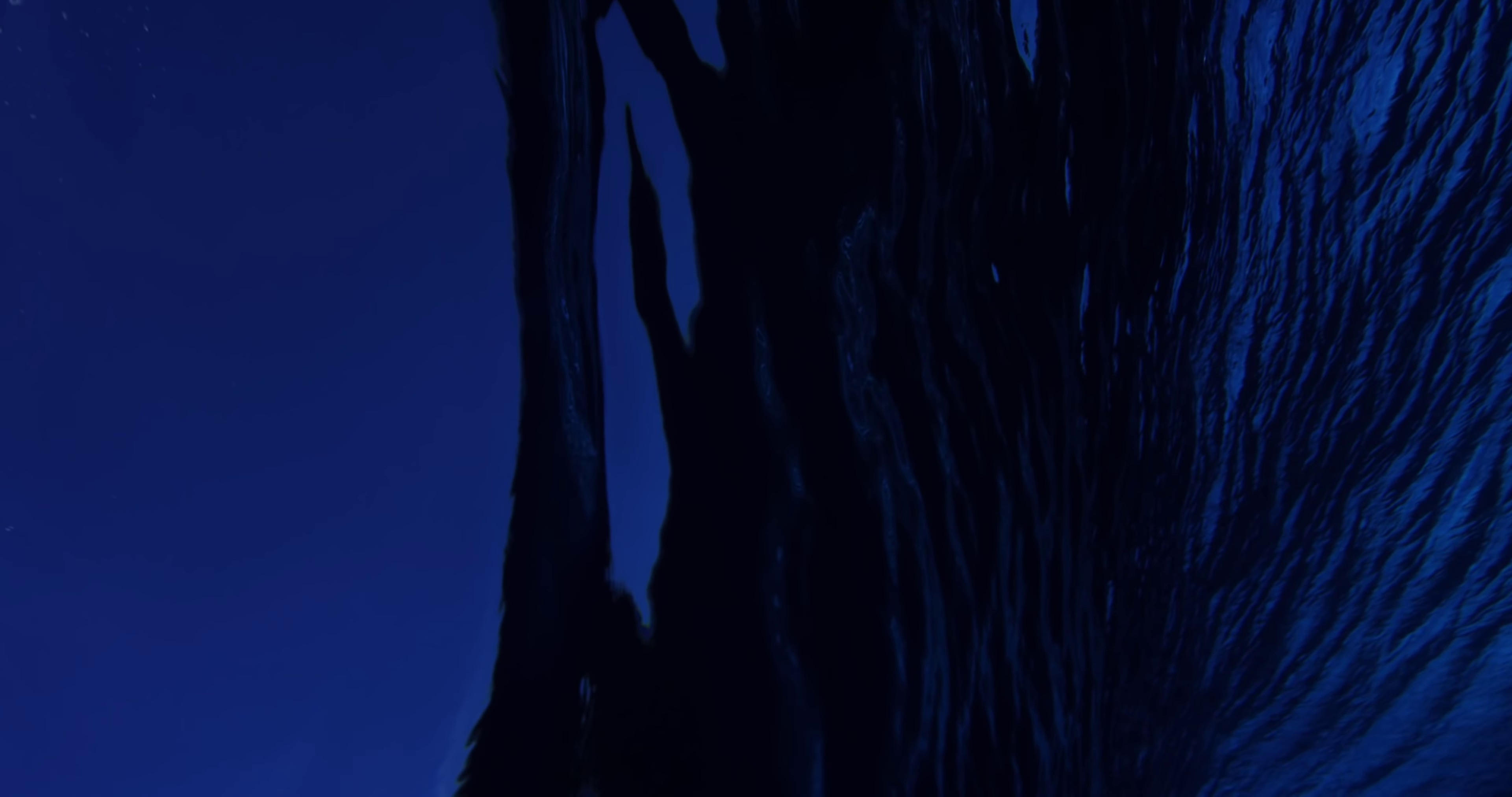 Meet The Moonlight (2022) —  shot,  lighting