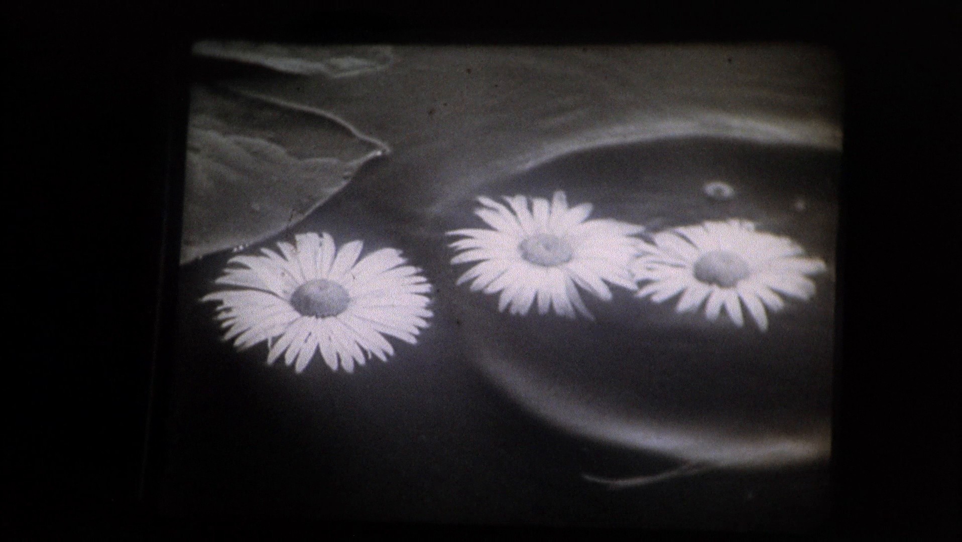 The Spirit of the Beehive (1975) —  shot,  lighting