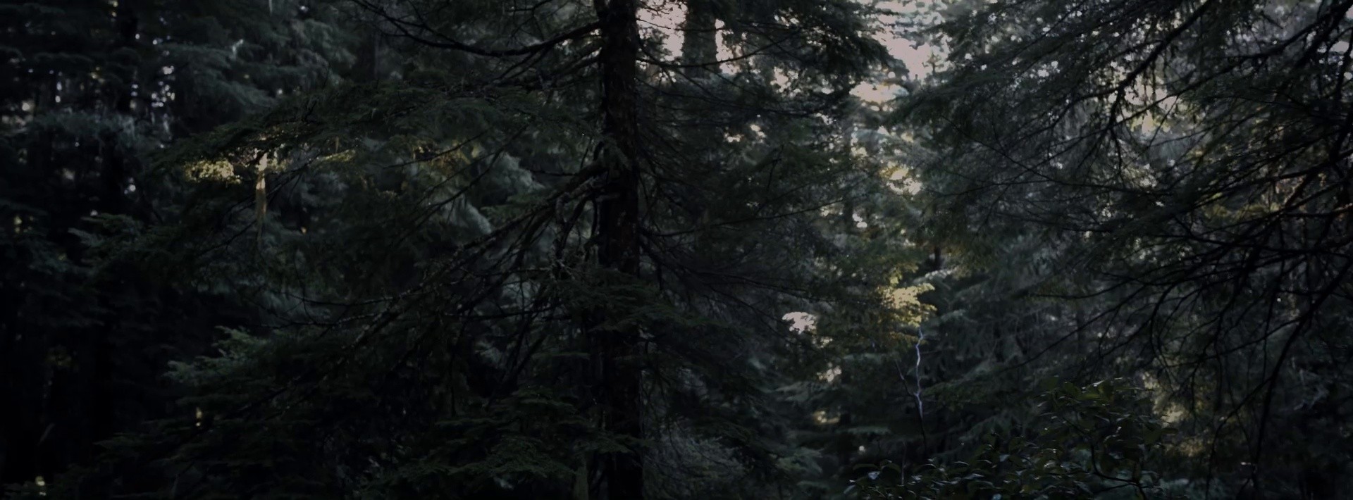 Merrell - Step Further (2022) —  shot,  lighting