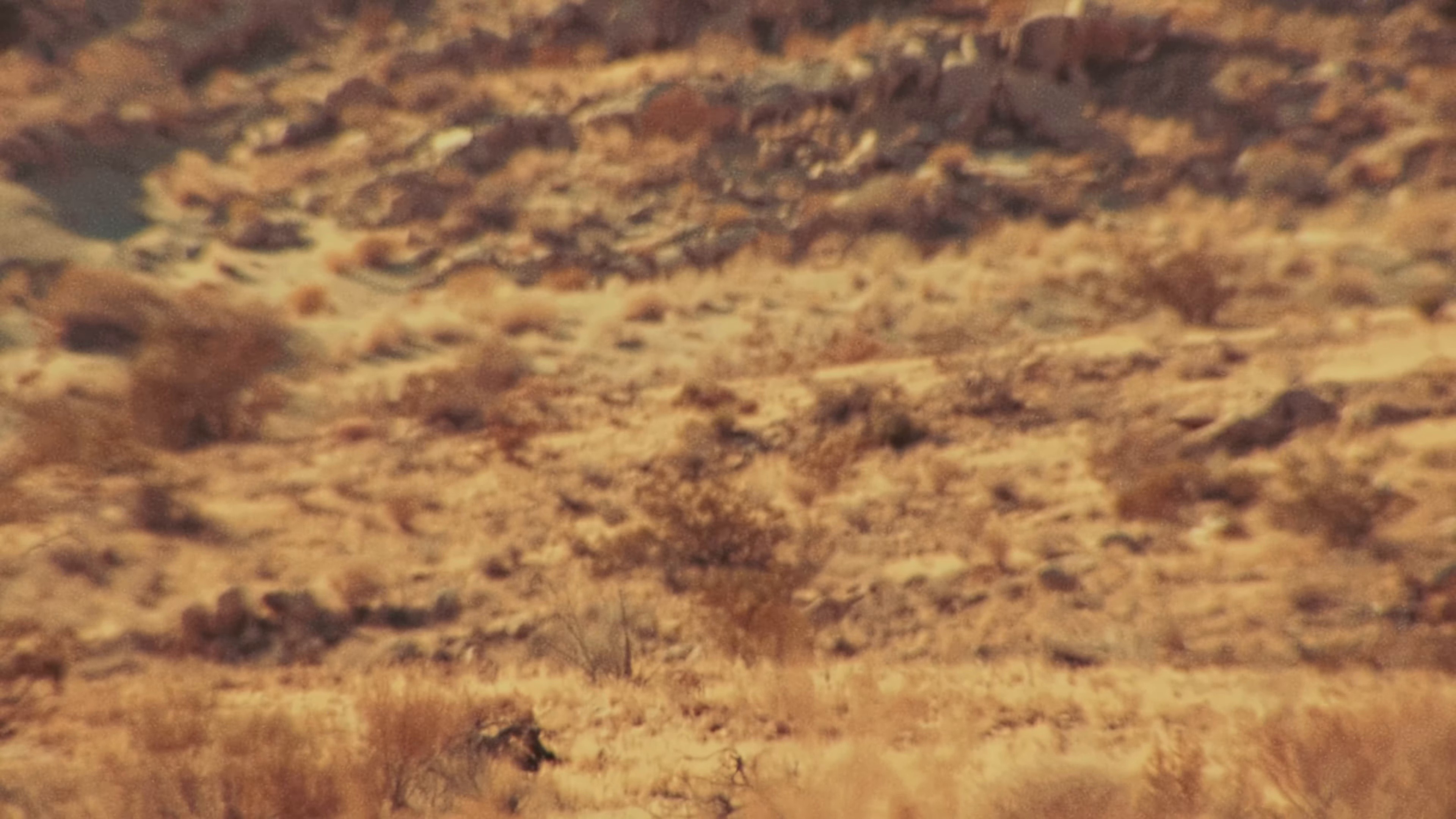 Toxic Romantic (2025) —  shot,  lighting