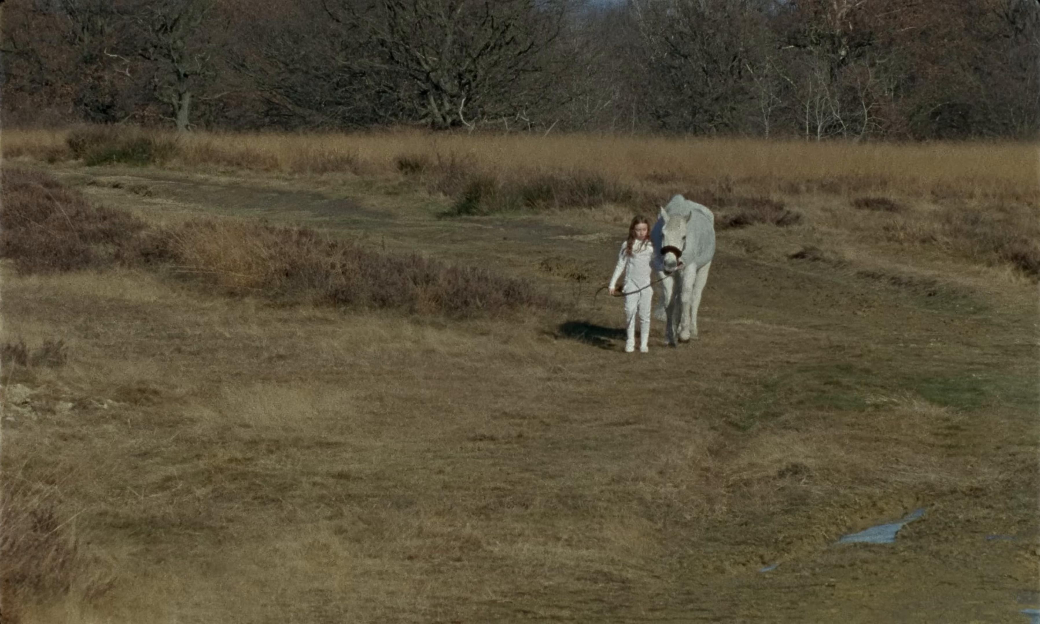 CHIAMO IO CHIAMI TU (2025) —  shot,  lighting