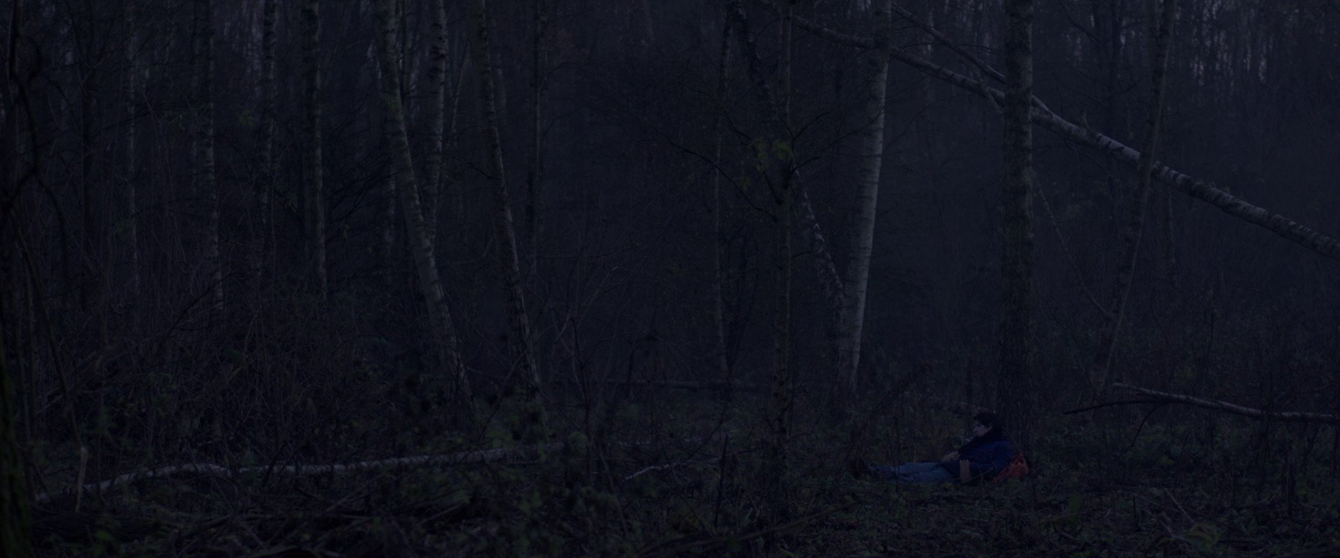 Eden (2014) —  shot,  lighting