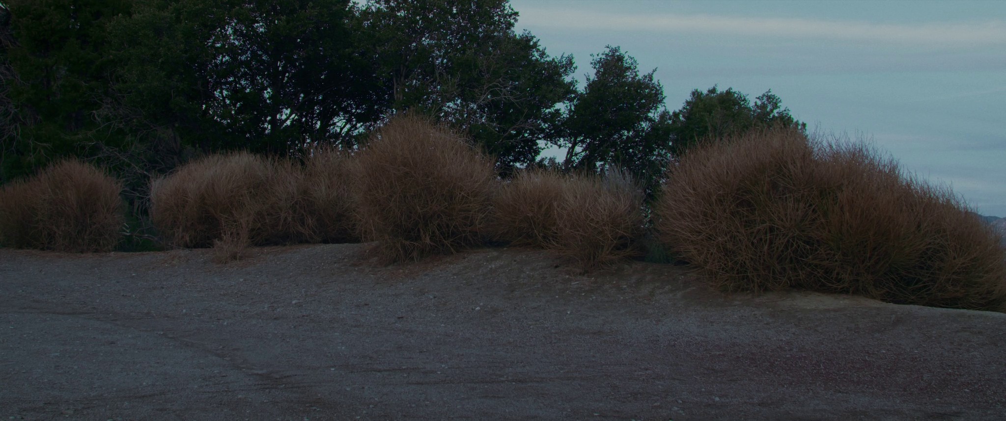 2am (2019) —  shot,  lighting