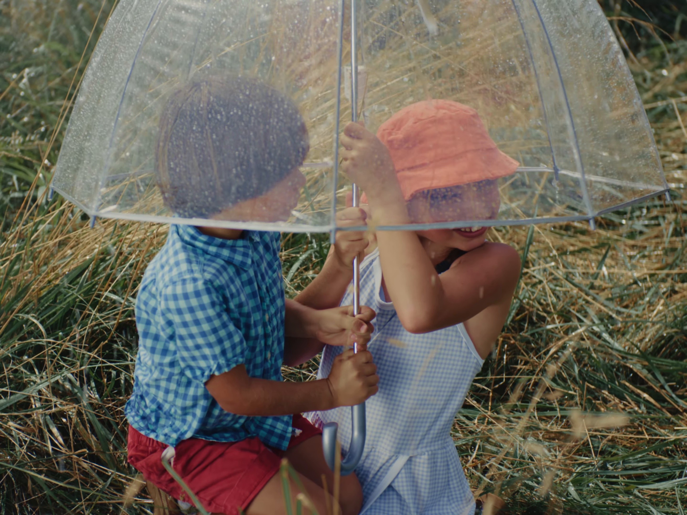 Community Garden (2025) —  shot,  lighting