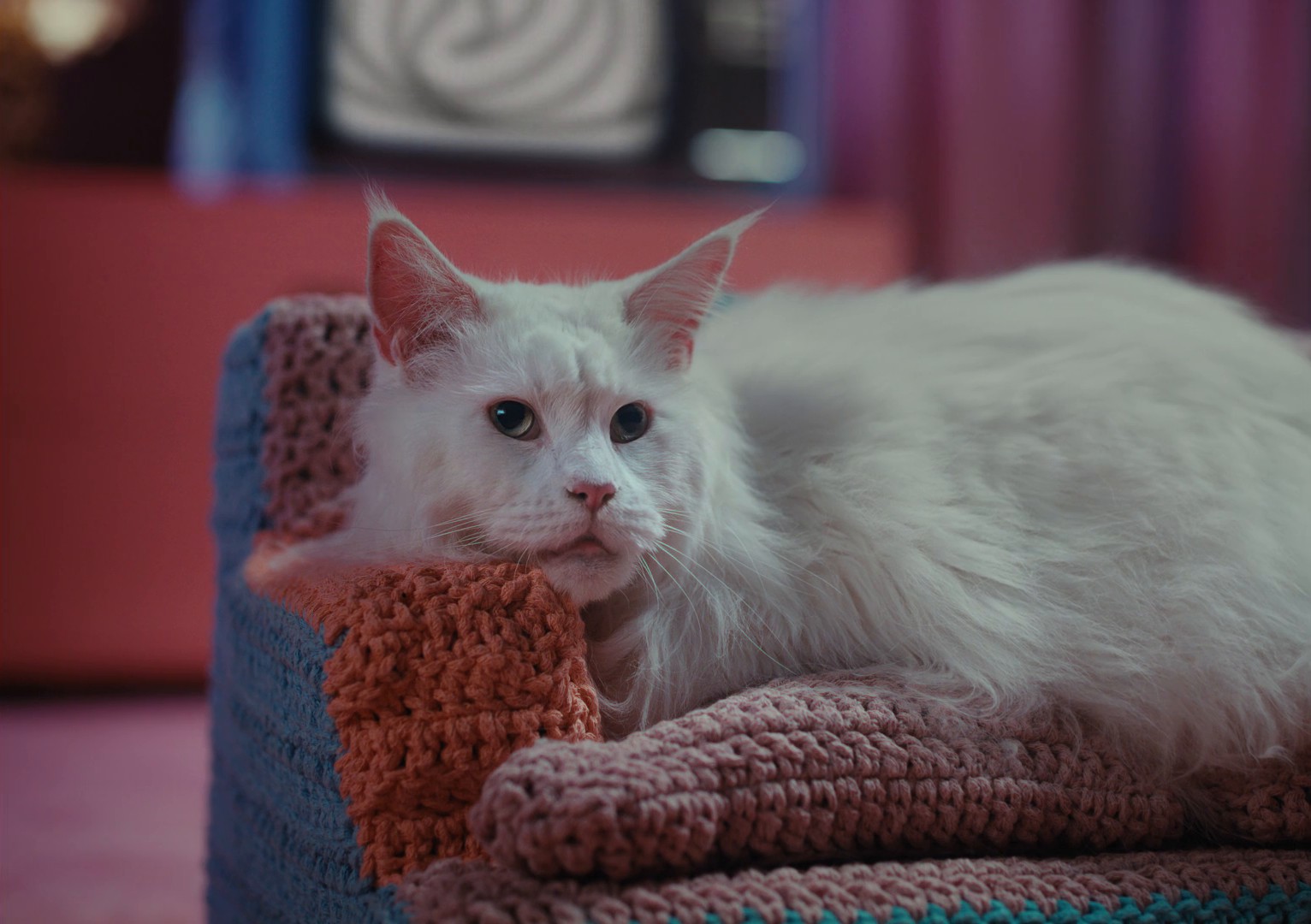 NATIONAL BANK OF GREECE - Next app - Knitting (2024) —  shot,  lighting