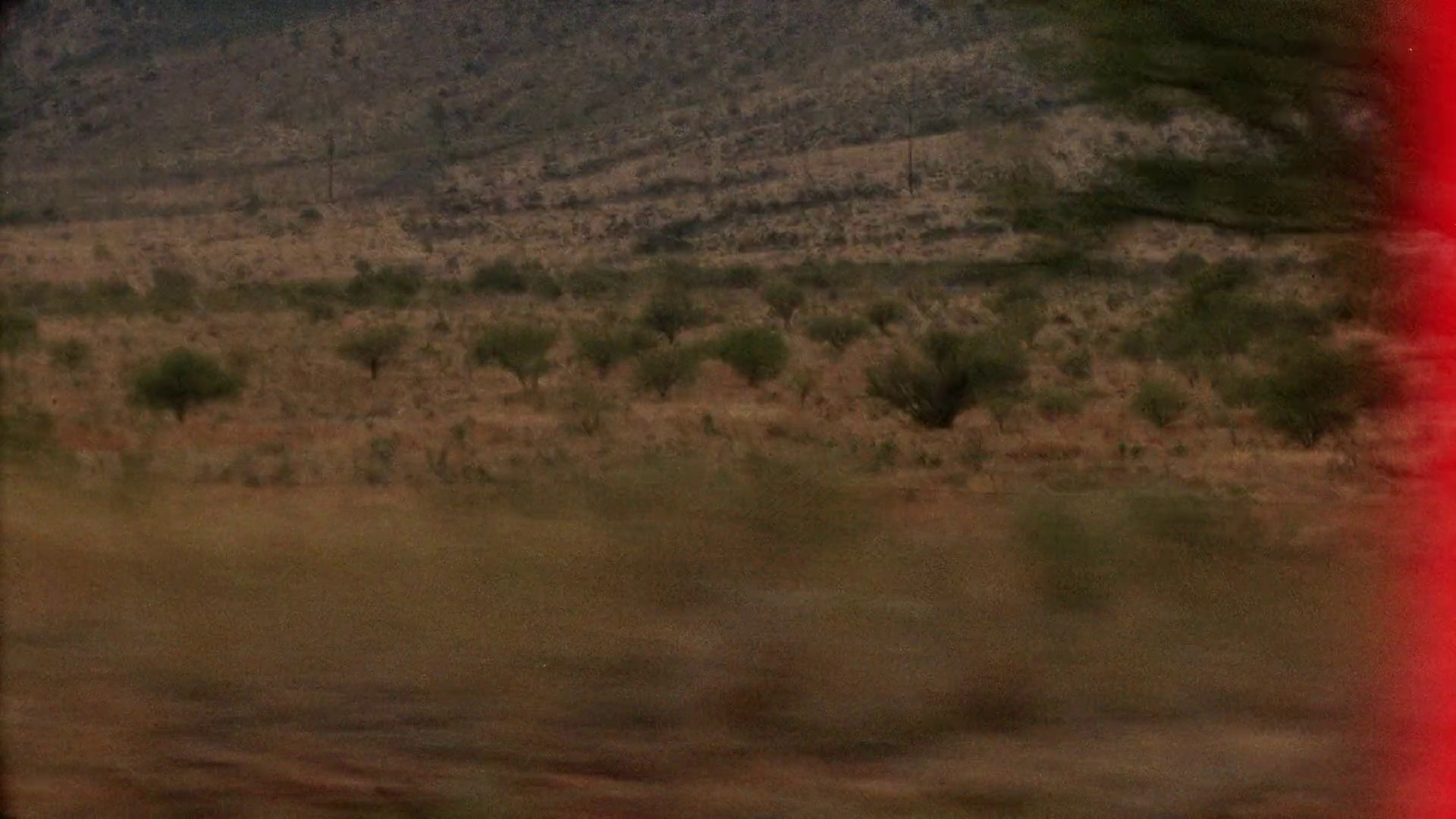 Carhartt - "Soft These Days" :30 (2024) —  shot,  lighting