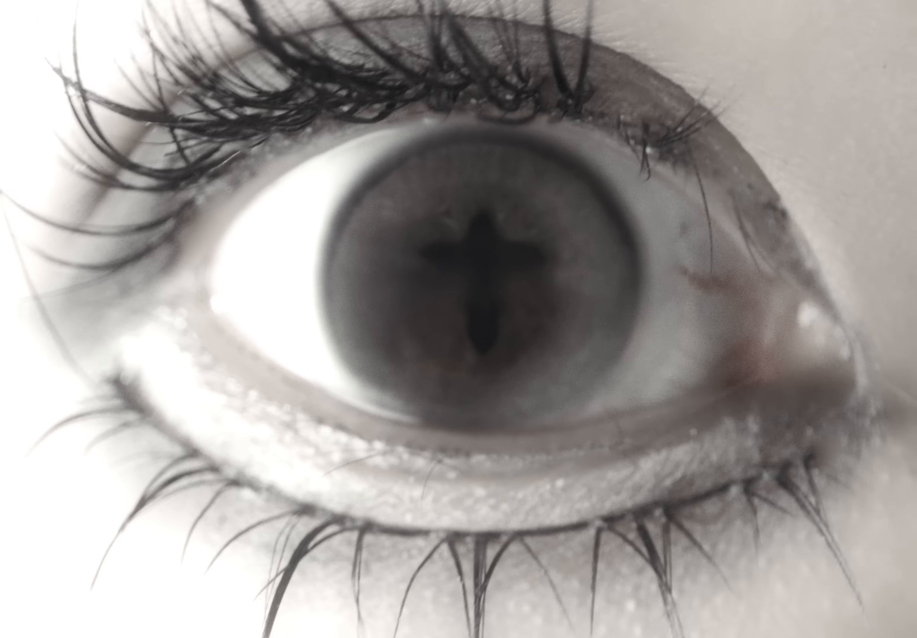 Evangelic Girl is a Gun (2025) —  shot,  lighting