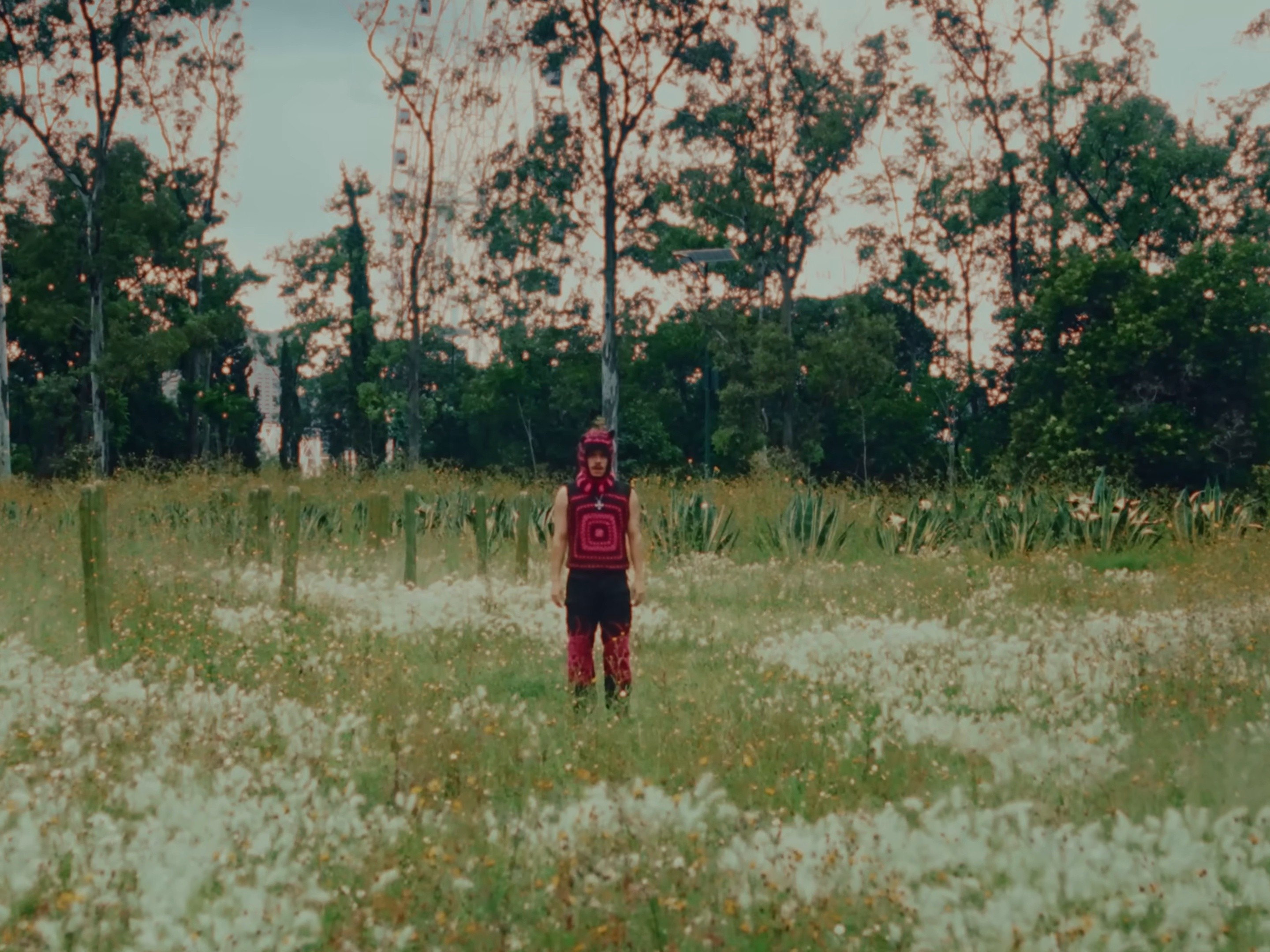 LOVELANGUAGE (2023) —  shot,  lighting