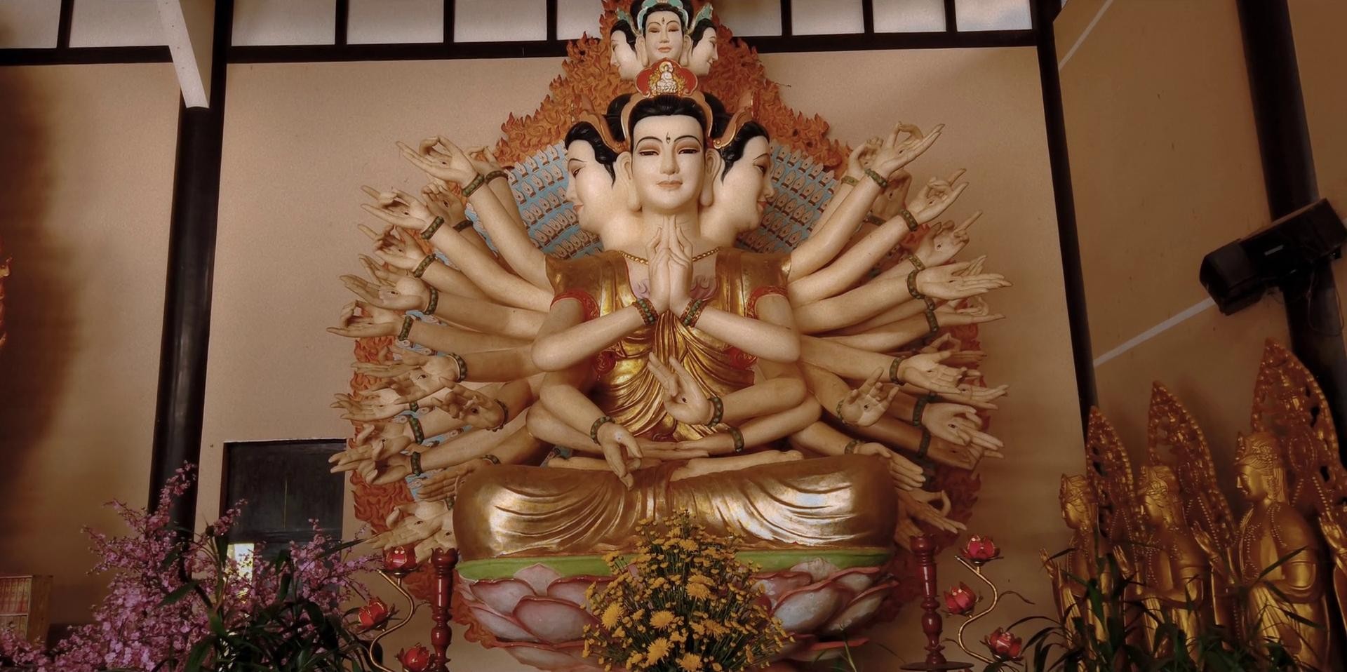 The White Tiger (2021) —  shot,  lighting