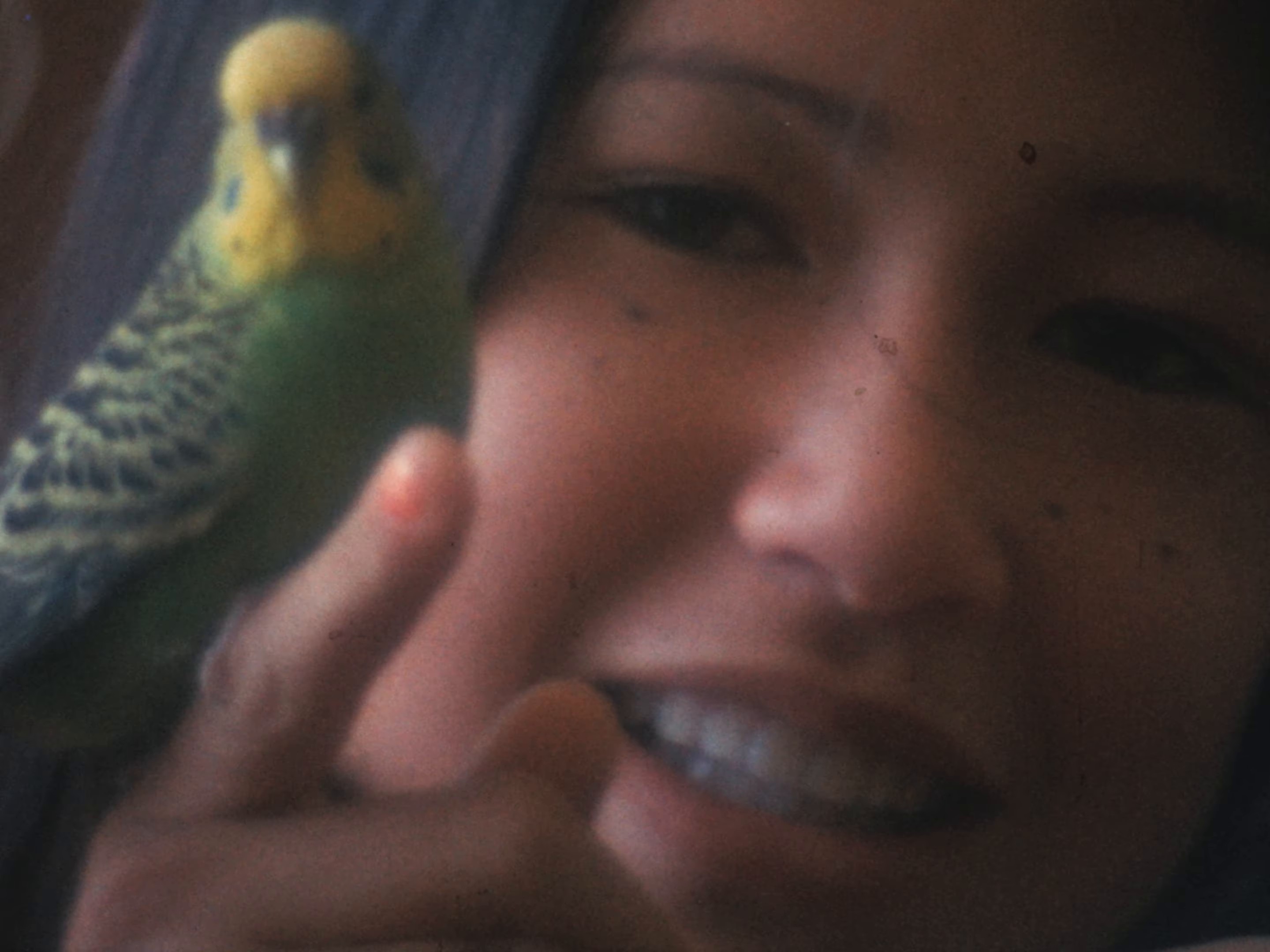 All Your Life (2024) —  shot,  lighting