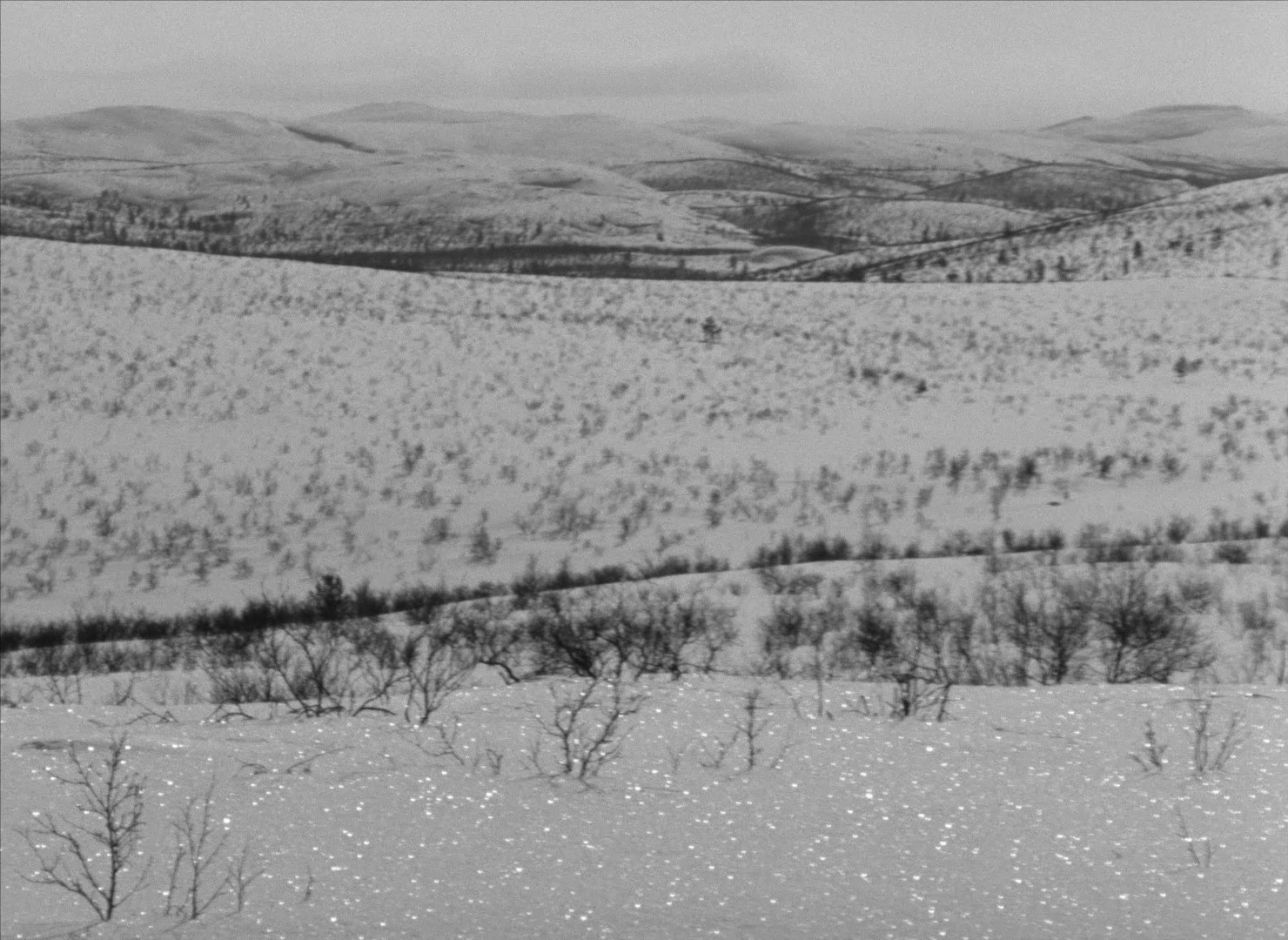 The White Reindeer (1952) —  shot,  lighting