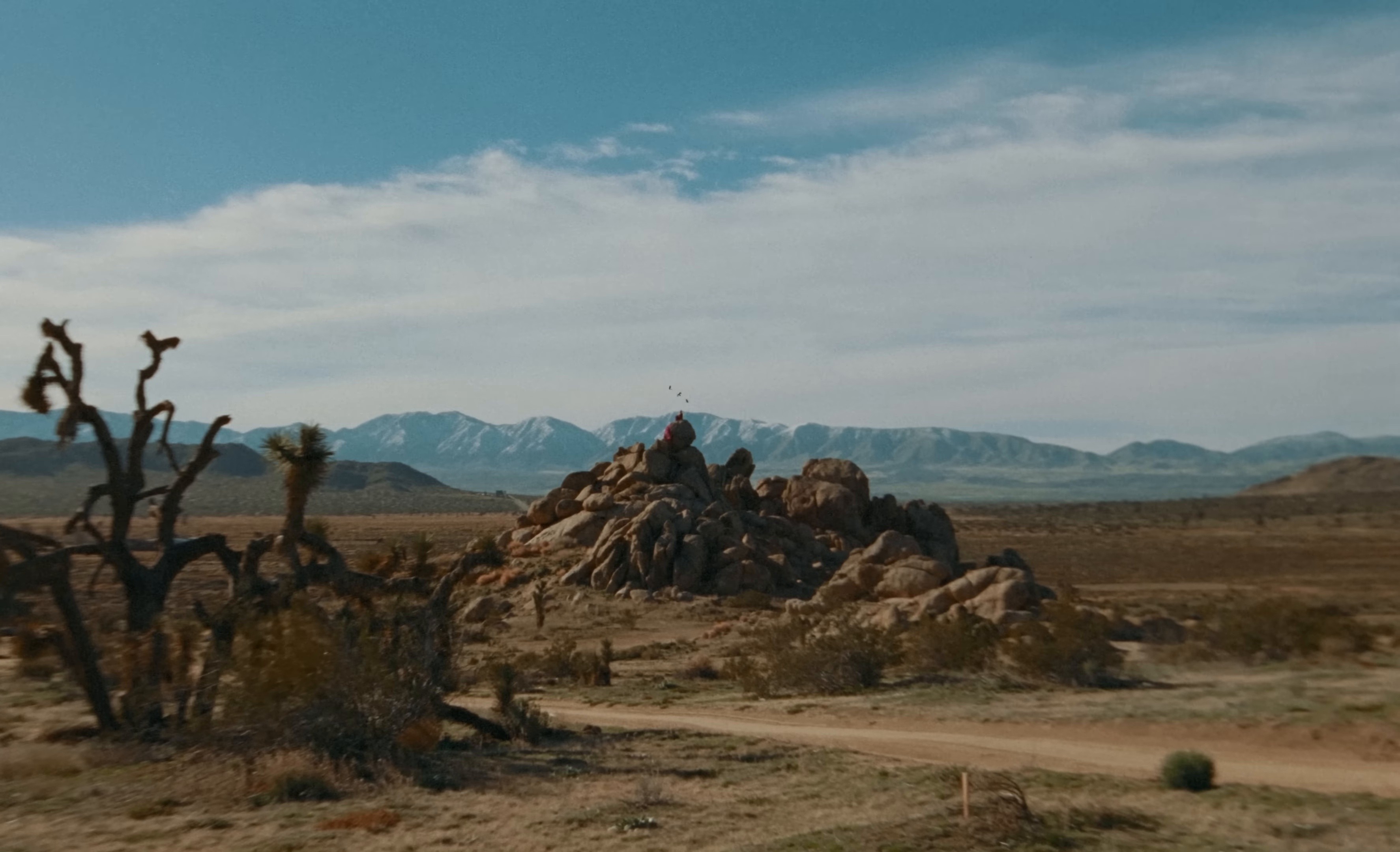 Não Gosta (2025) —  shot,  lighting