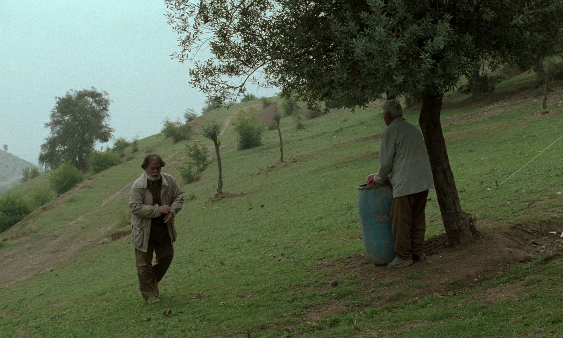 Through the Olive Trees (1995) —  shot,  lighting