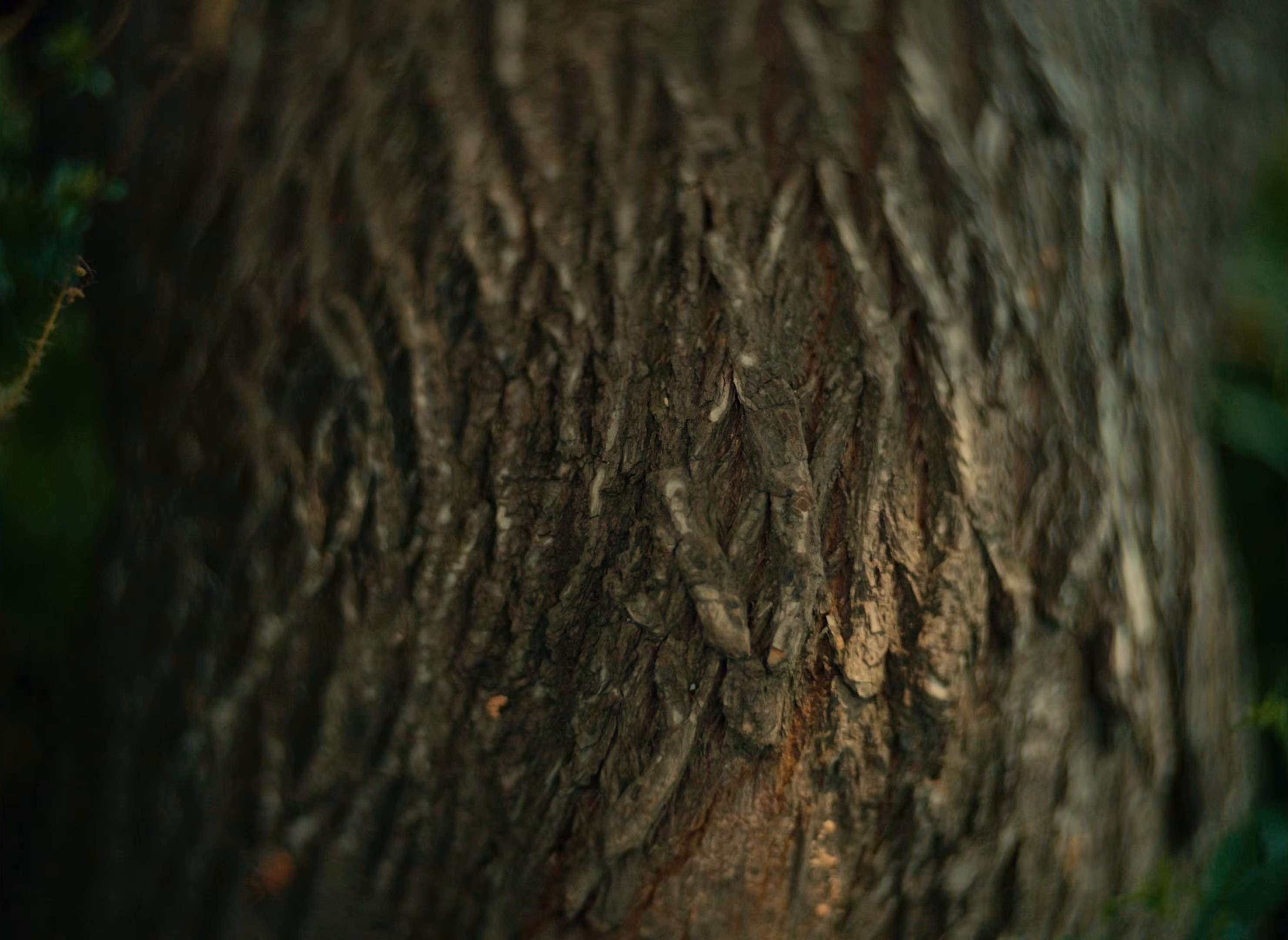 Right Here (2026) —  shot,  lighting