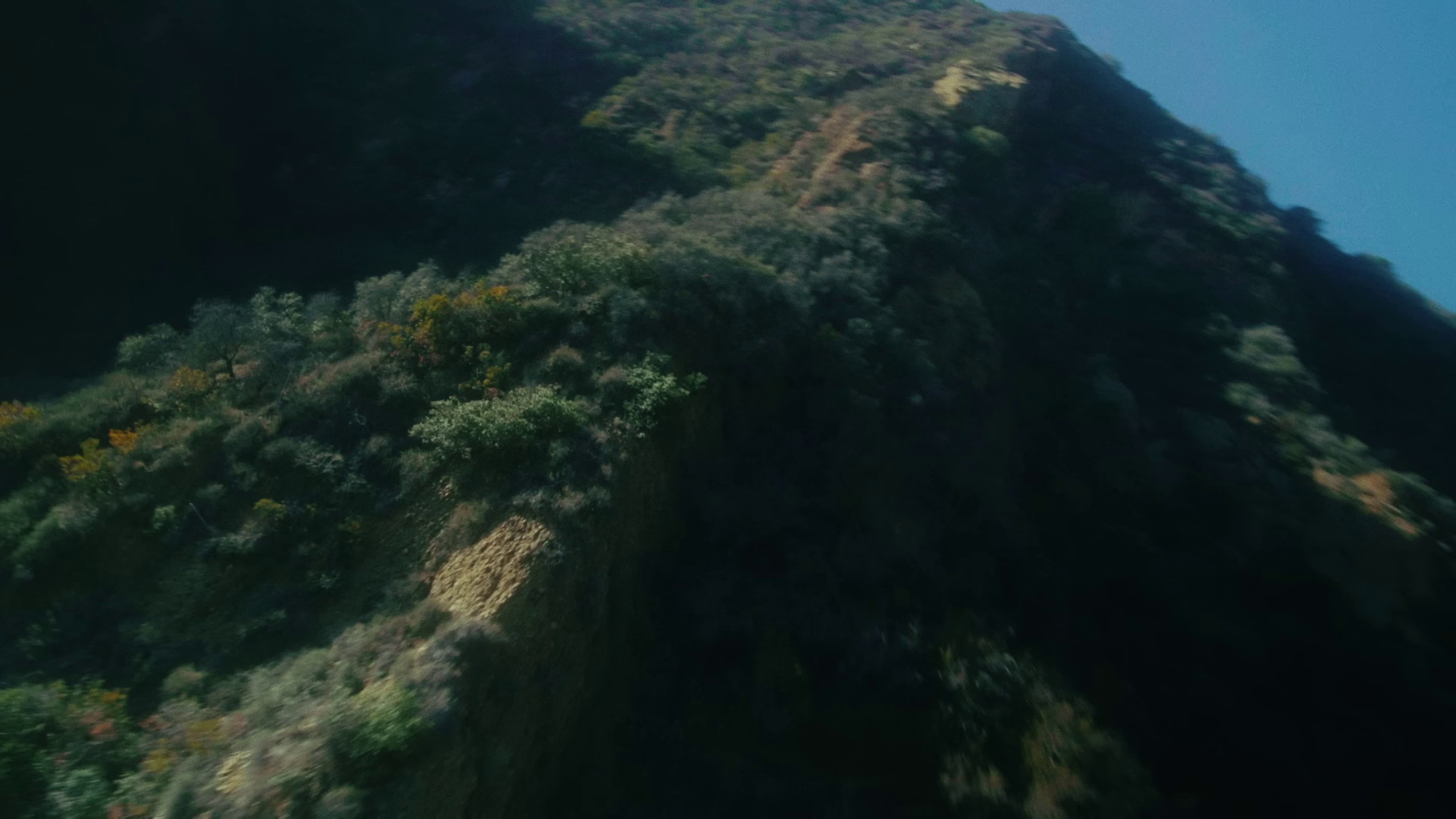 Good Evening (2024) —  shot,  lighting