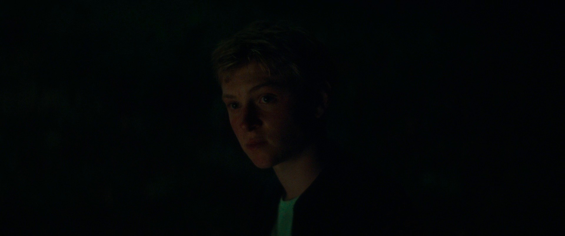 Holy Cow (2025) —  shot,  lighting