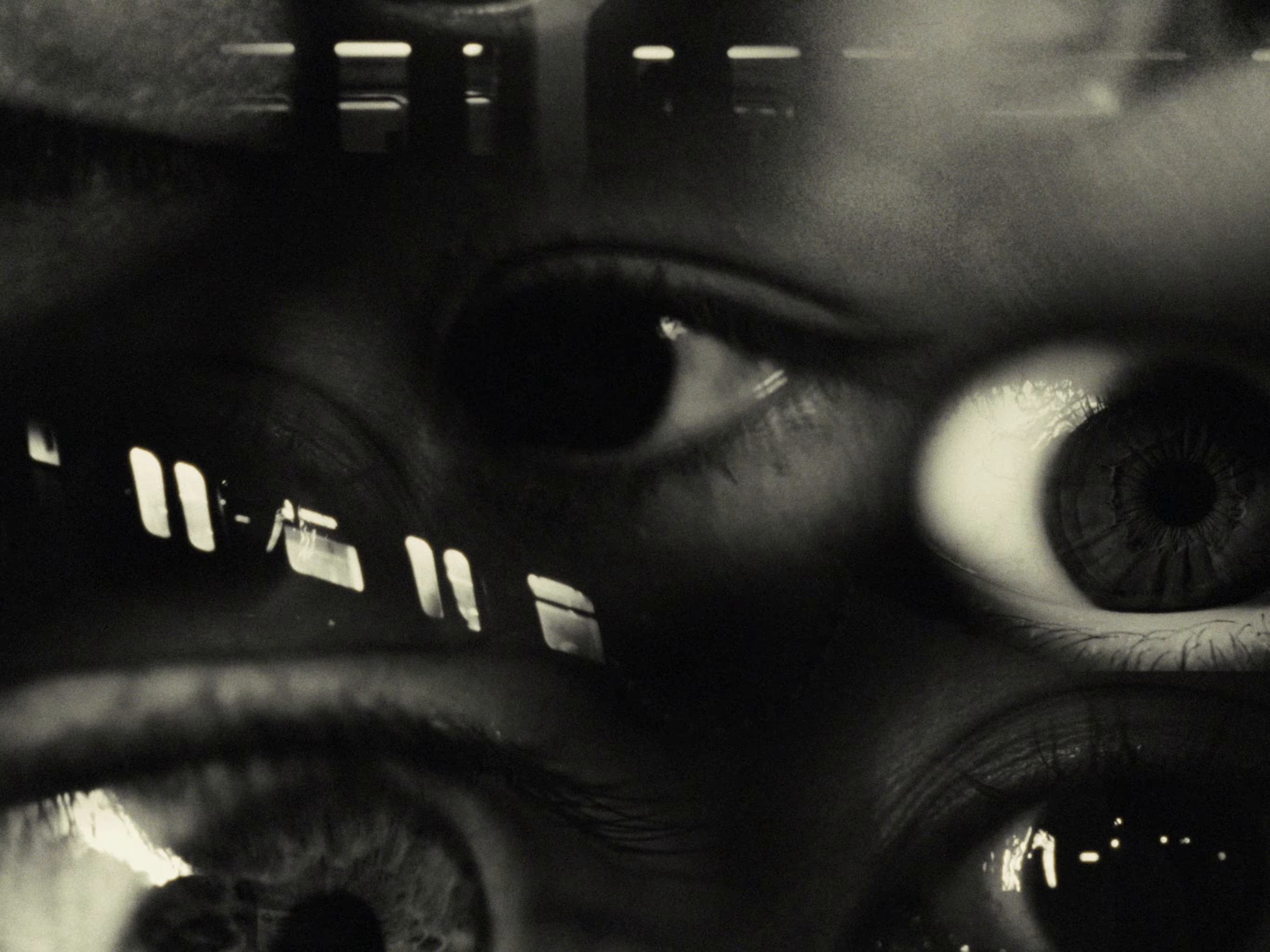 Fauvism (2024) —  shot,  lighting