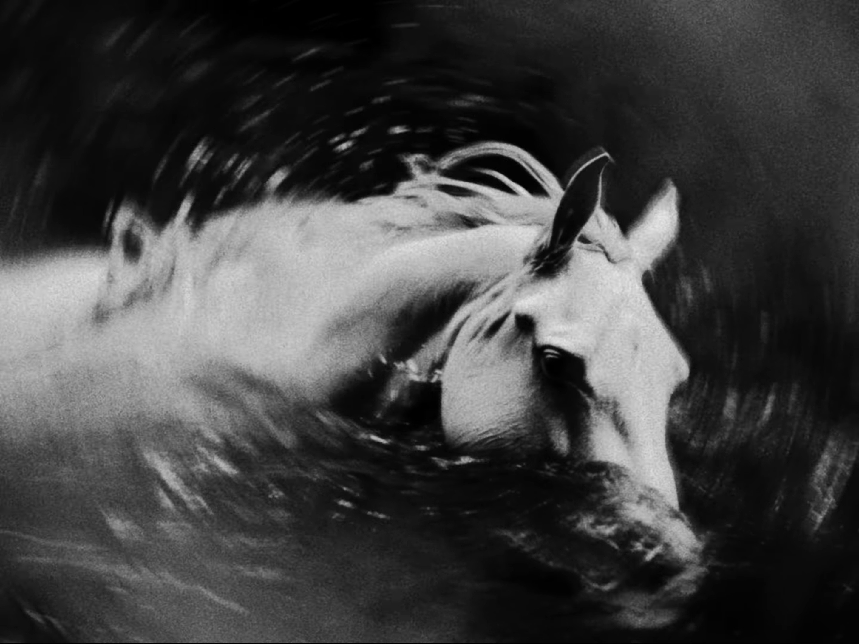 I Saw The Mountains (2025) —  shot,  lighting