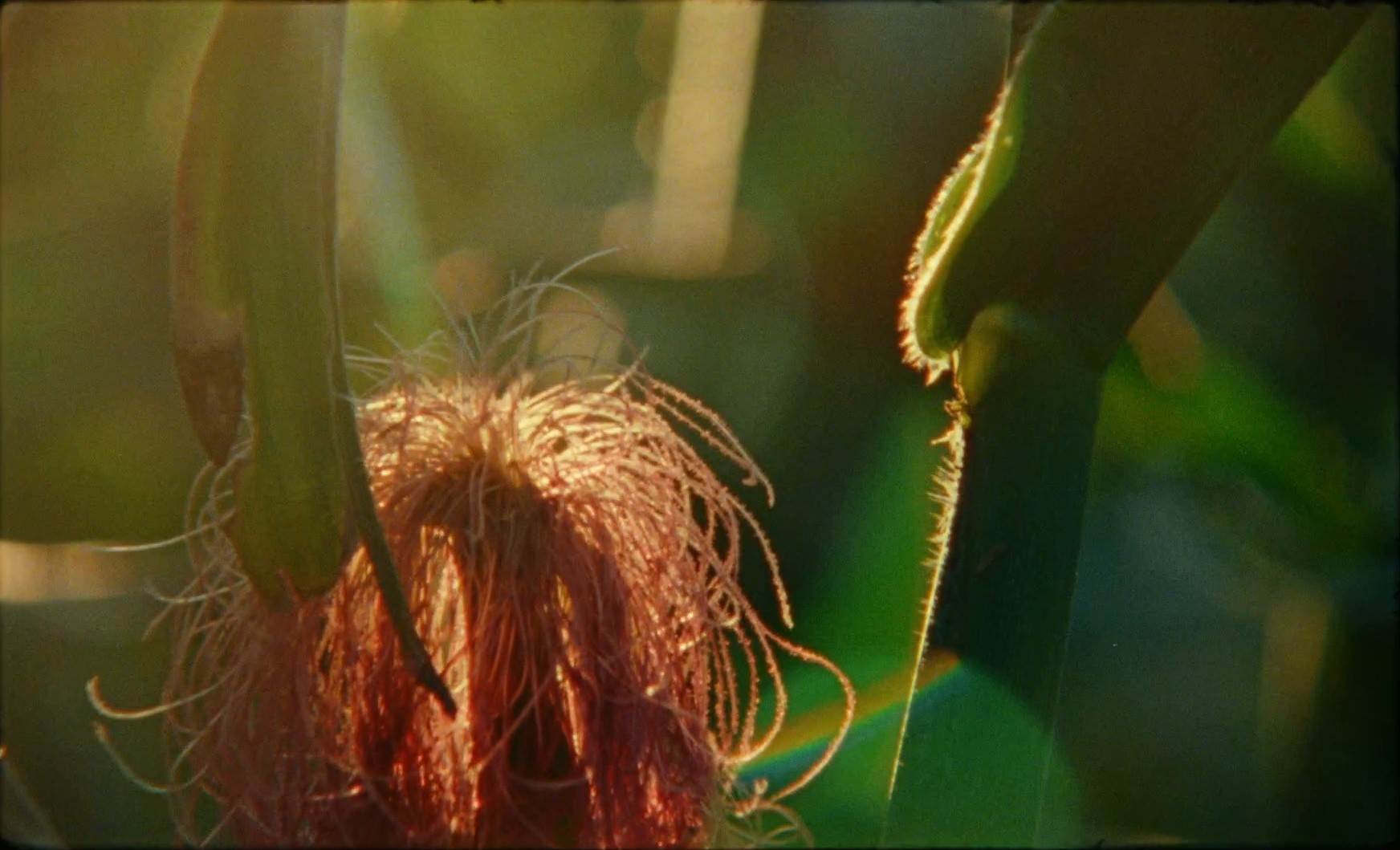 Bargain Flights (2025) —  shot,  lighting