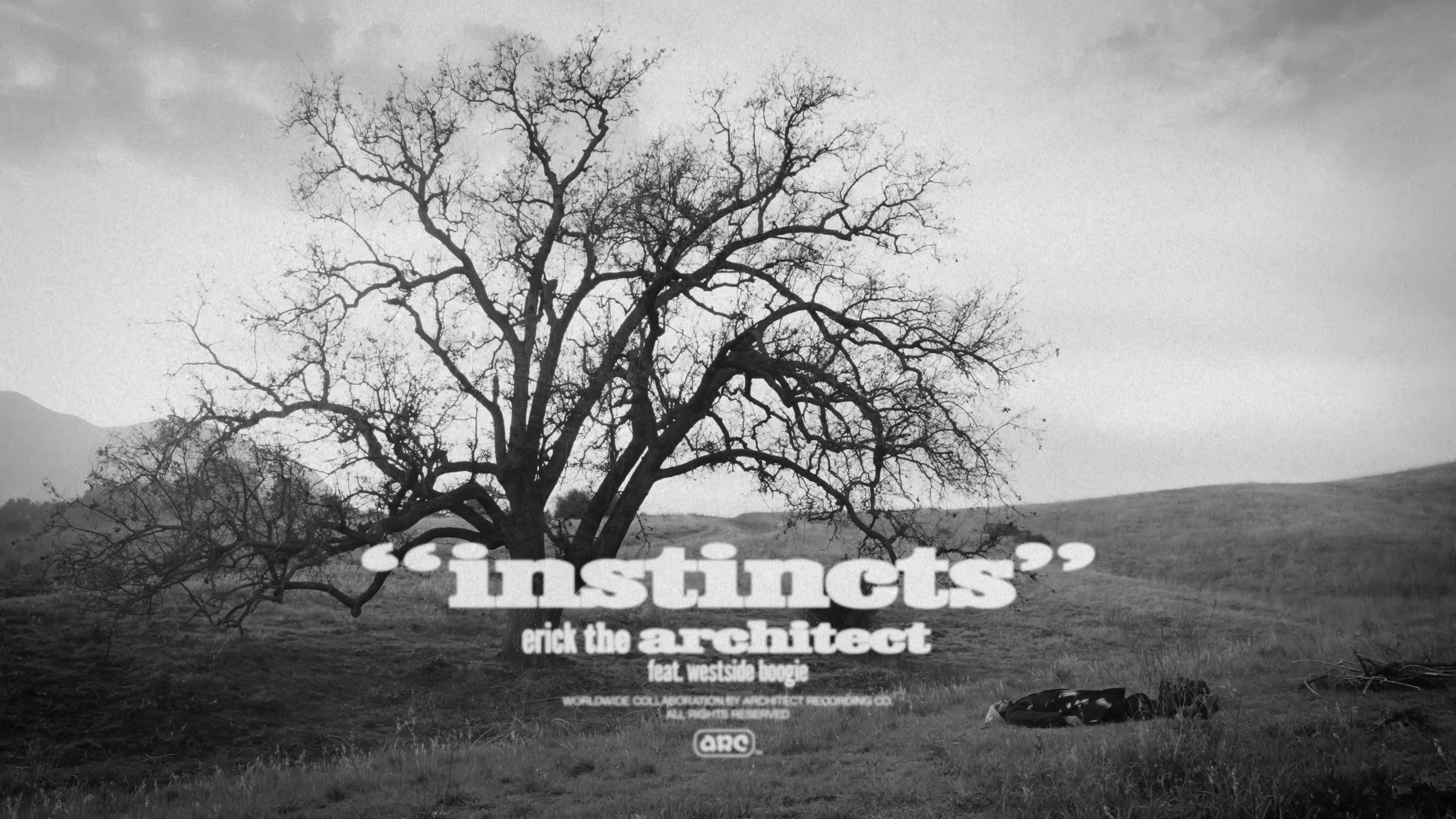 Instincts (2024) —  shot,  lighting